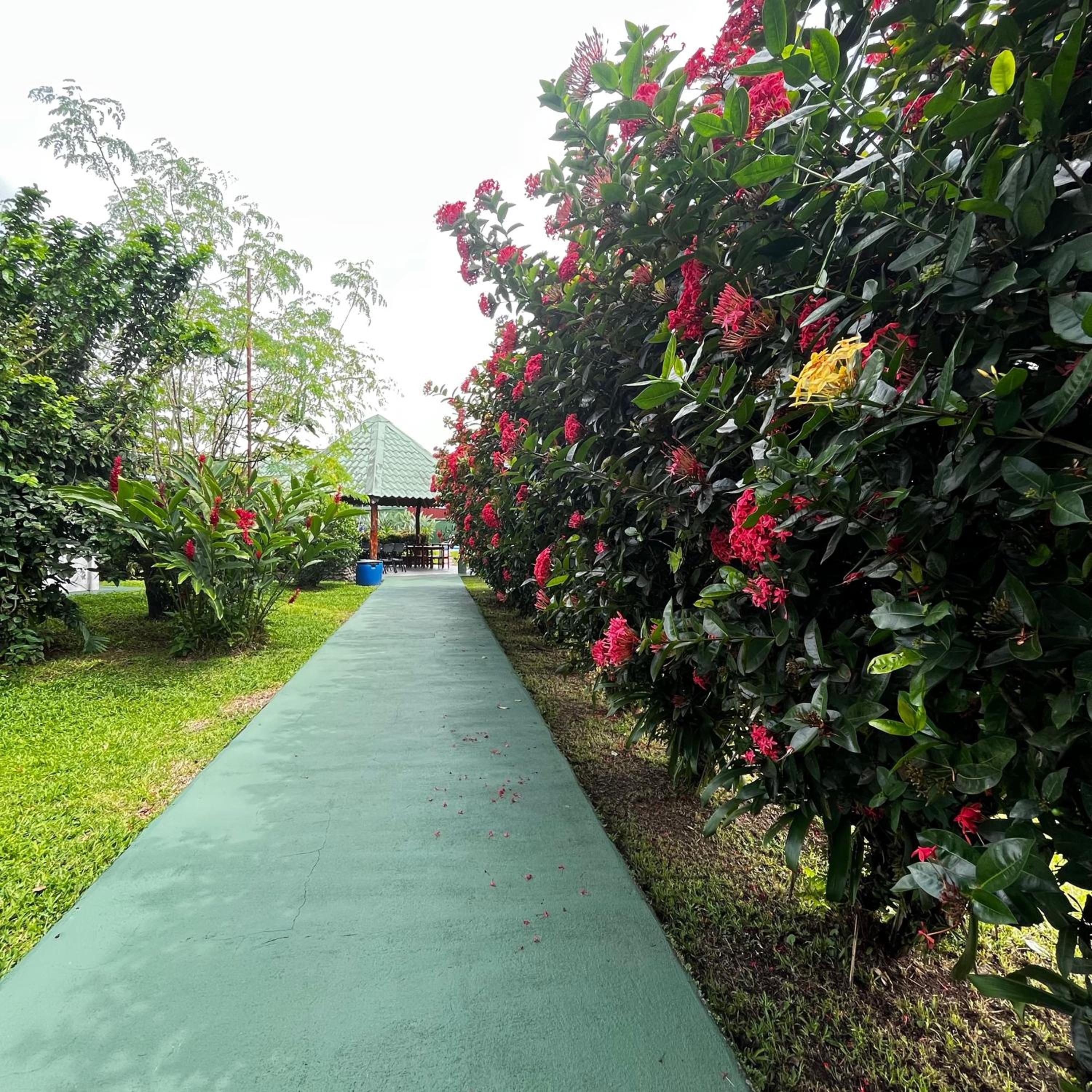 Hotel Villa Fortuna, Volcan Arenal, Costa Rica.