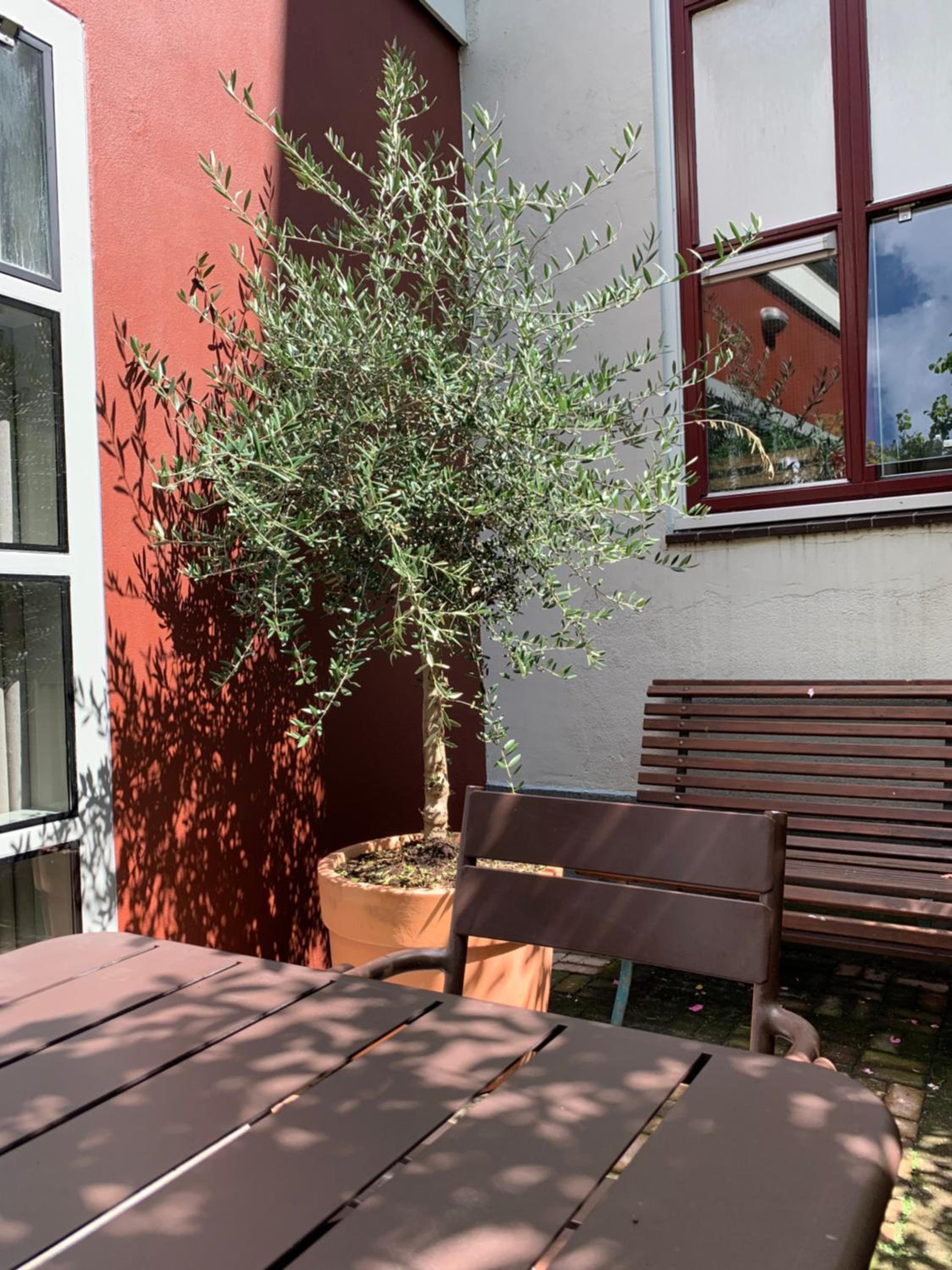 Photo 15