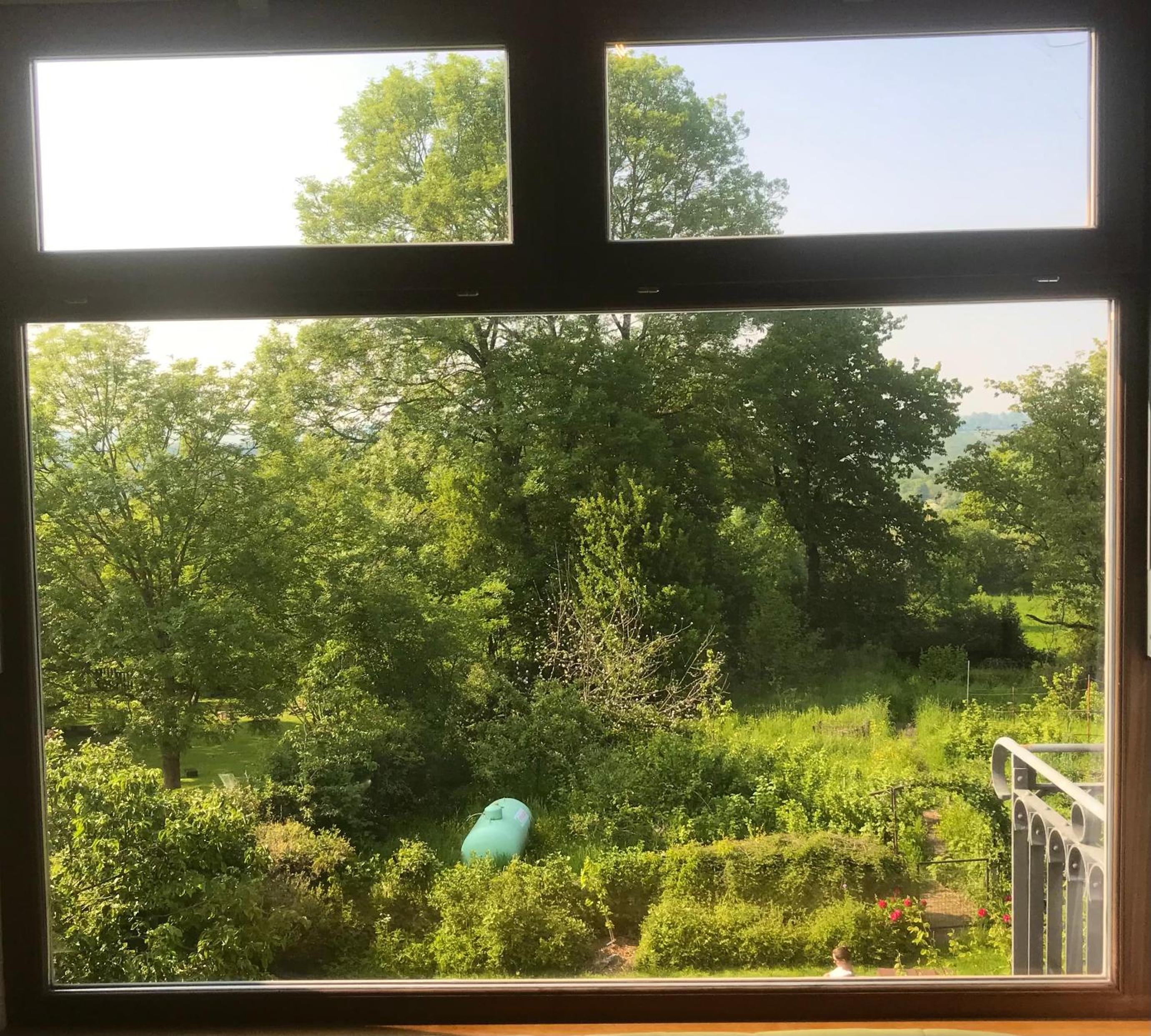 ziggy's room with a view