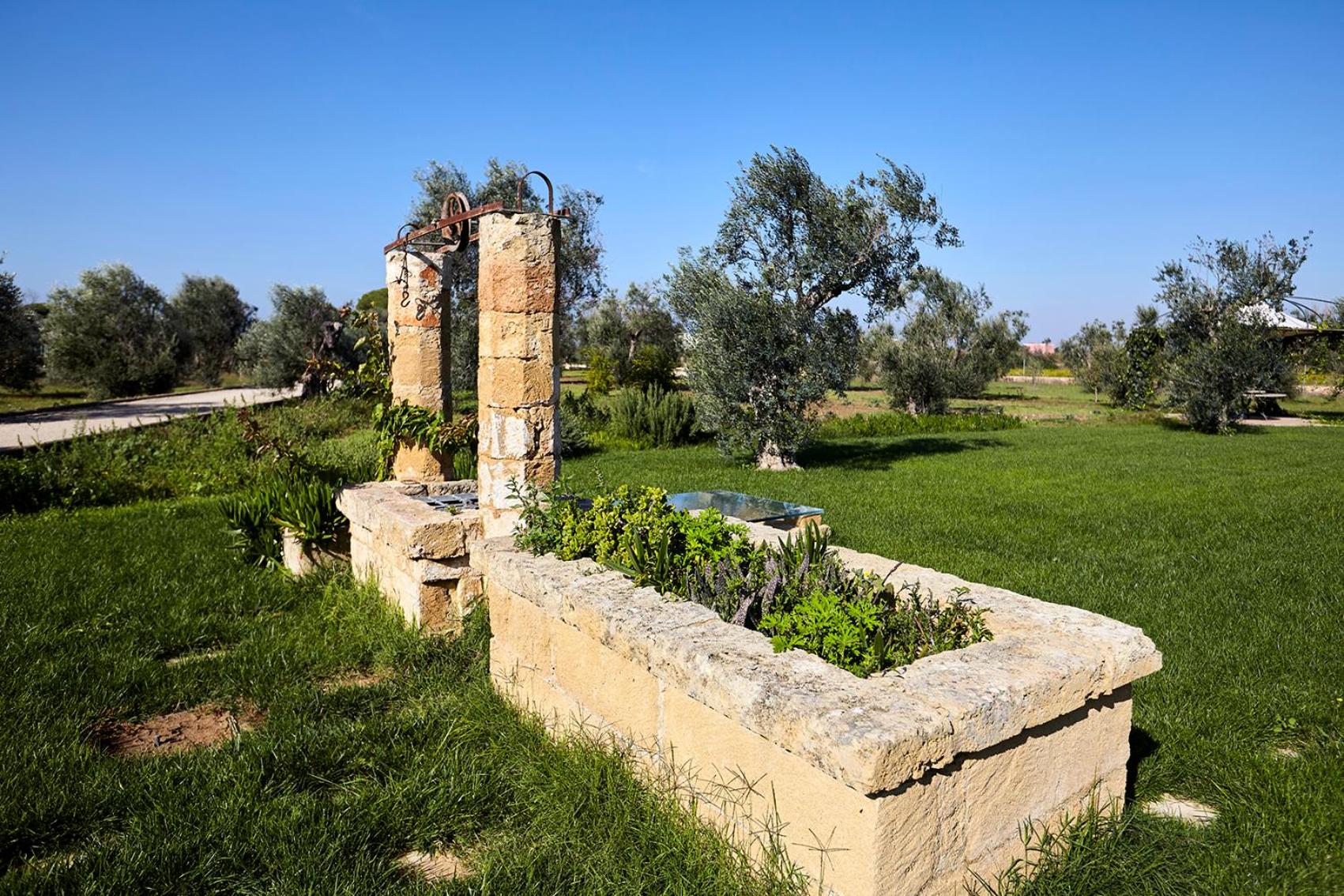 HOUSE OF RODOGALLO view 3