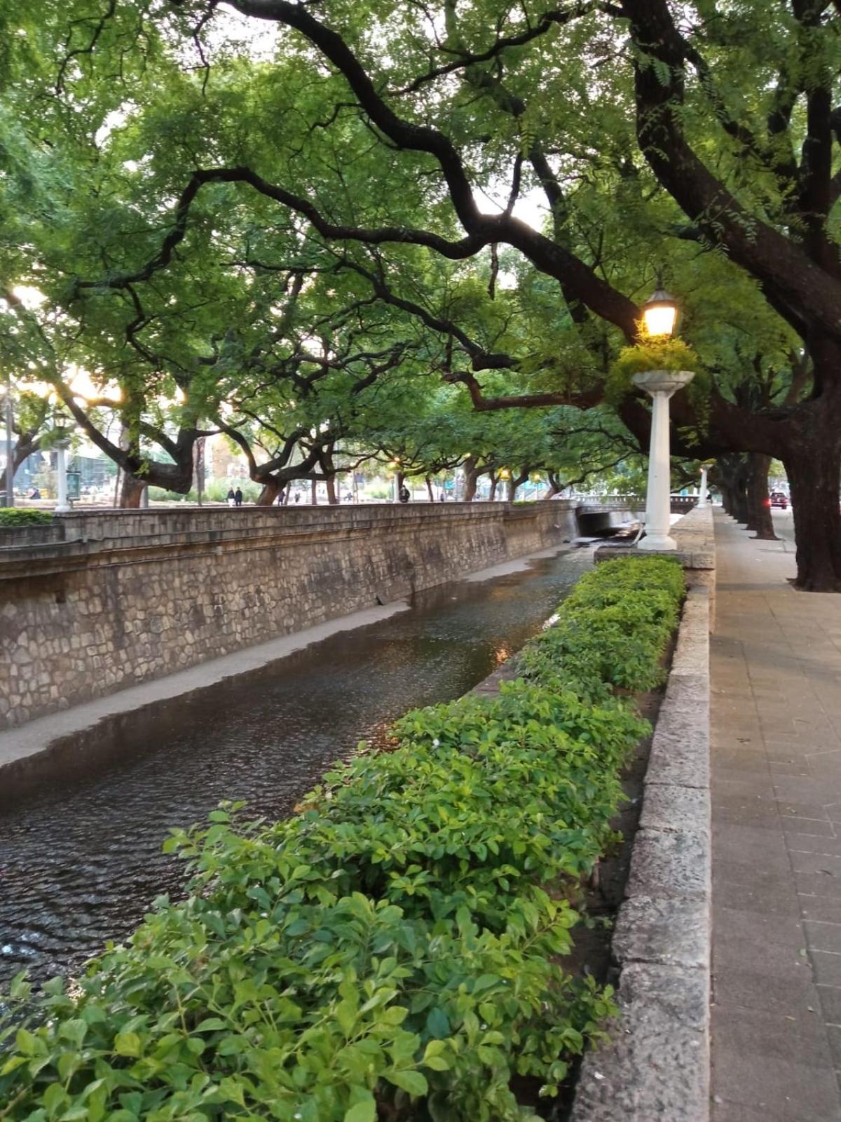 Santa Rosa
