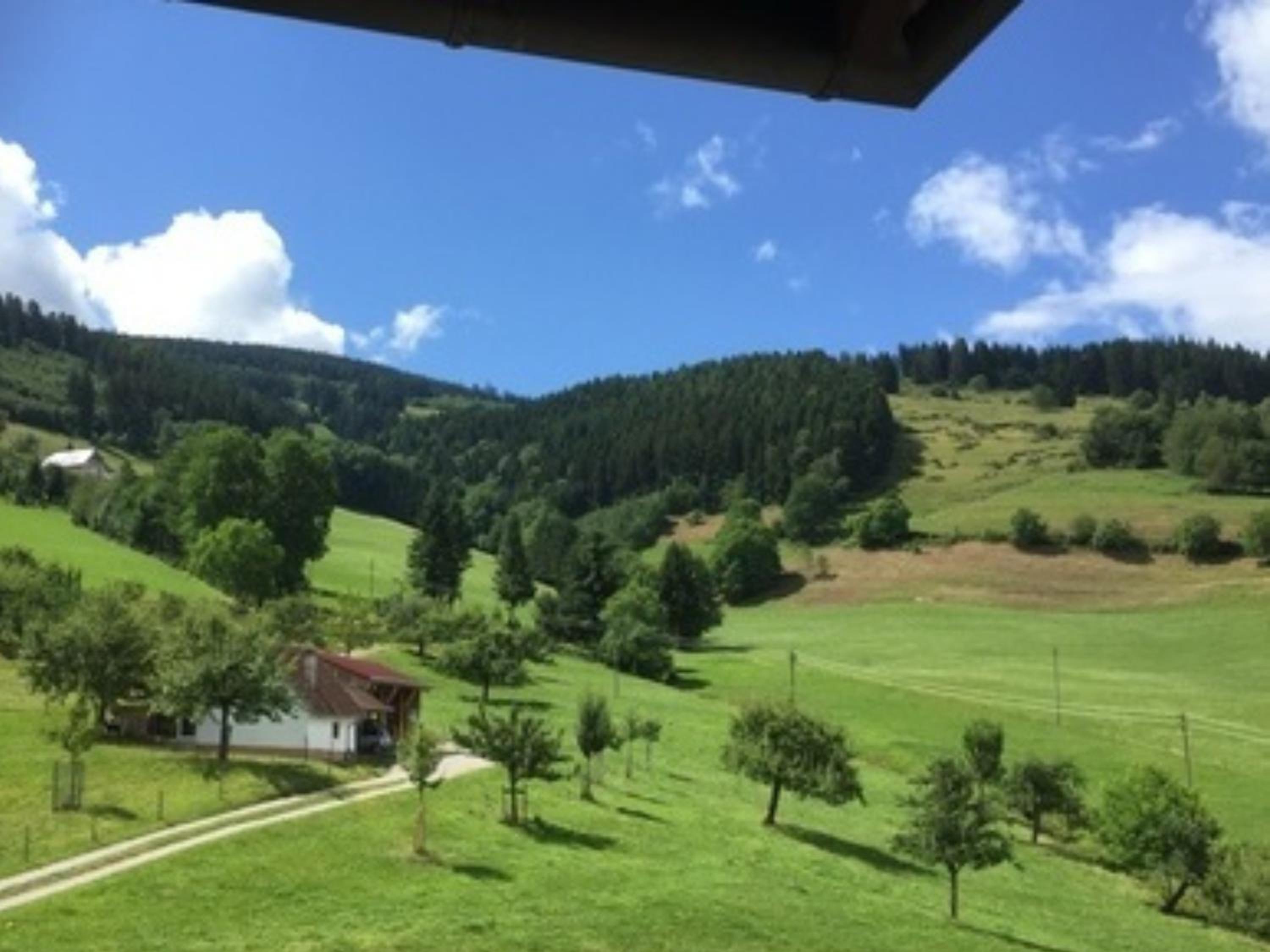Ferienwohnungen Maierhof Oberried