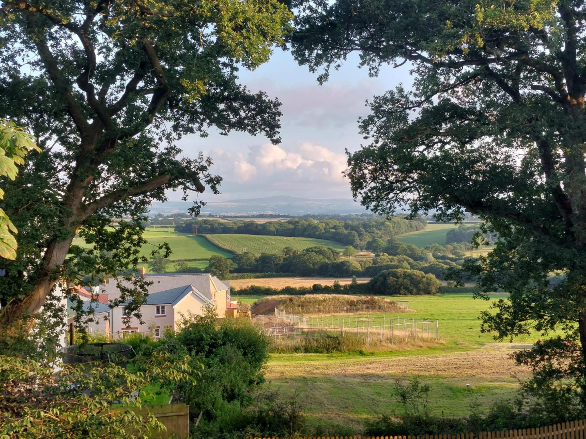 Three Oaks