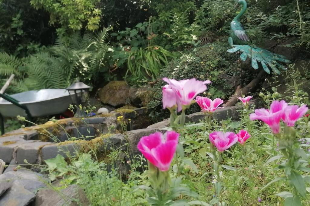 Wellnessoase im Grünen direkt am Mittelrheintal