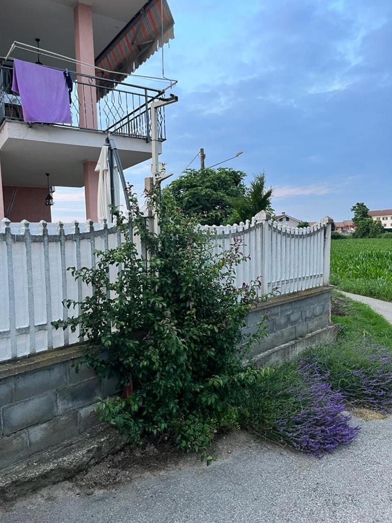 Villa Pia view 2
