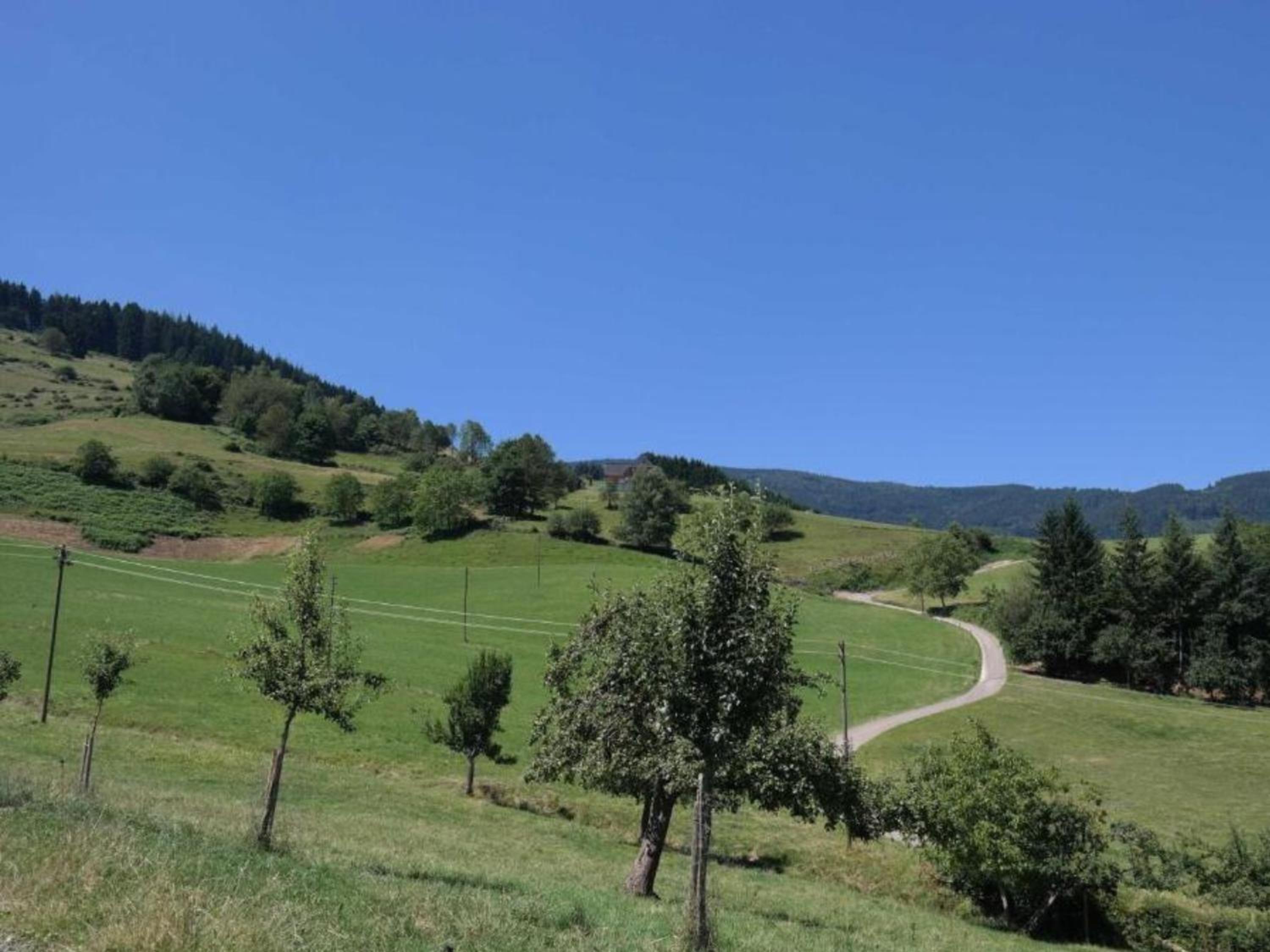 Ferienwohnungen Maierhof Oberried