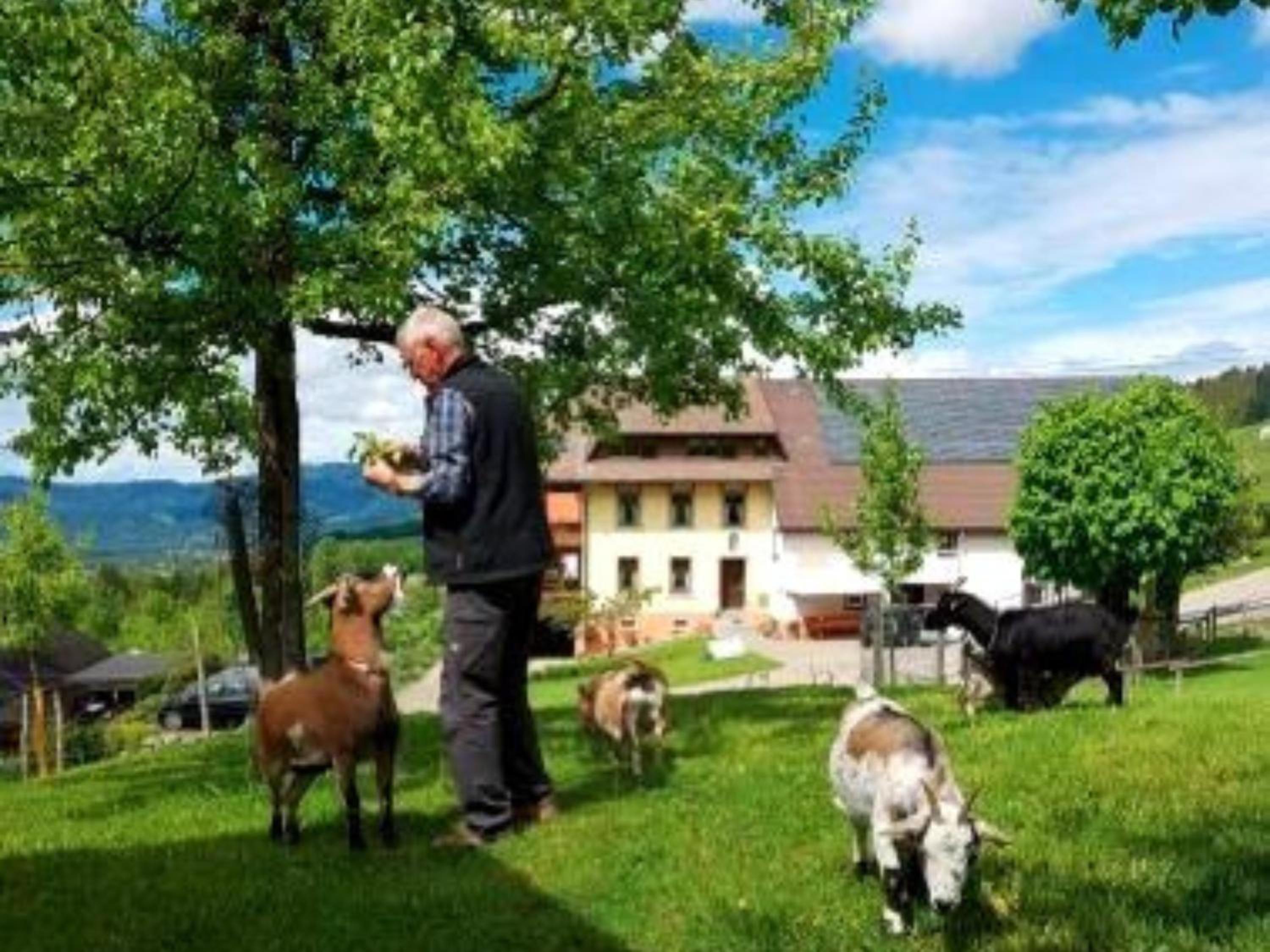 Ferienwohnungen Maierhof Oberried