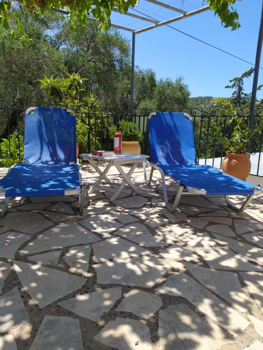 Photo 41