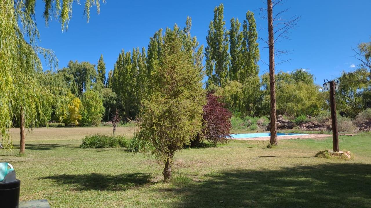 La Loica