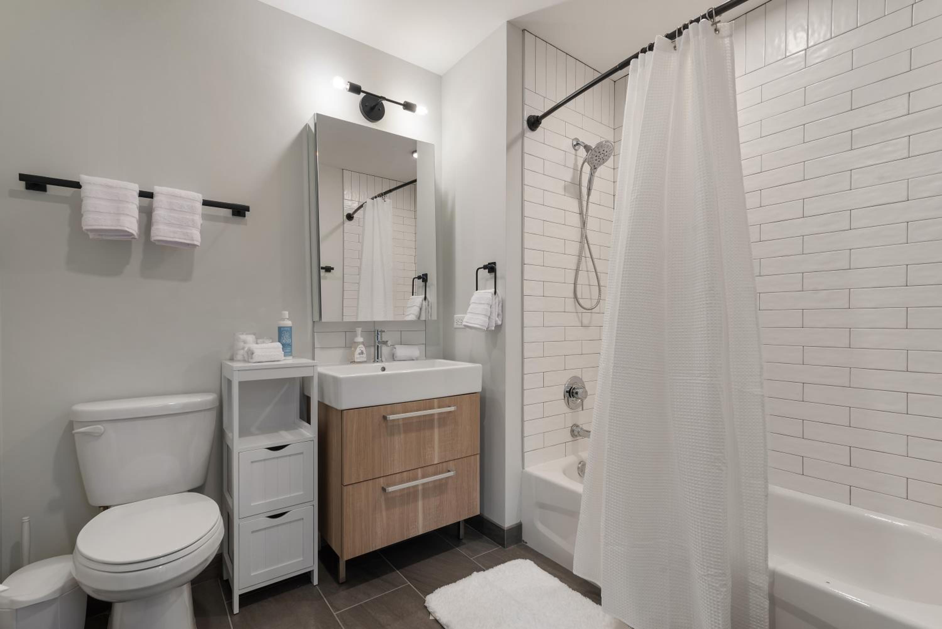 Experience Downtown Chicago at Millennium - Luxury Apartments in The Loop