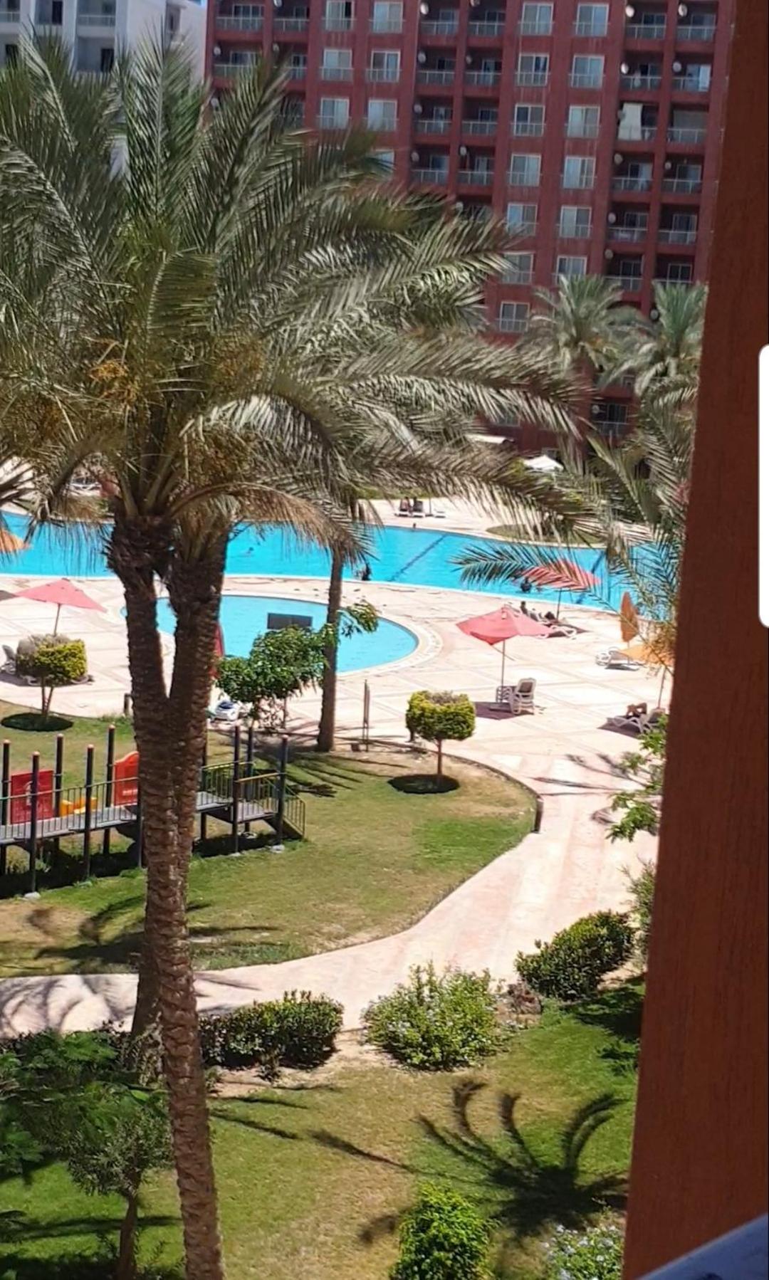 Gulf Porto el allamin