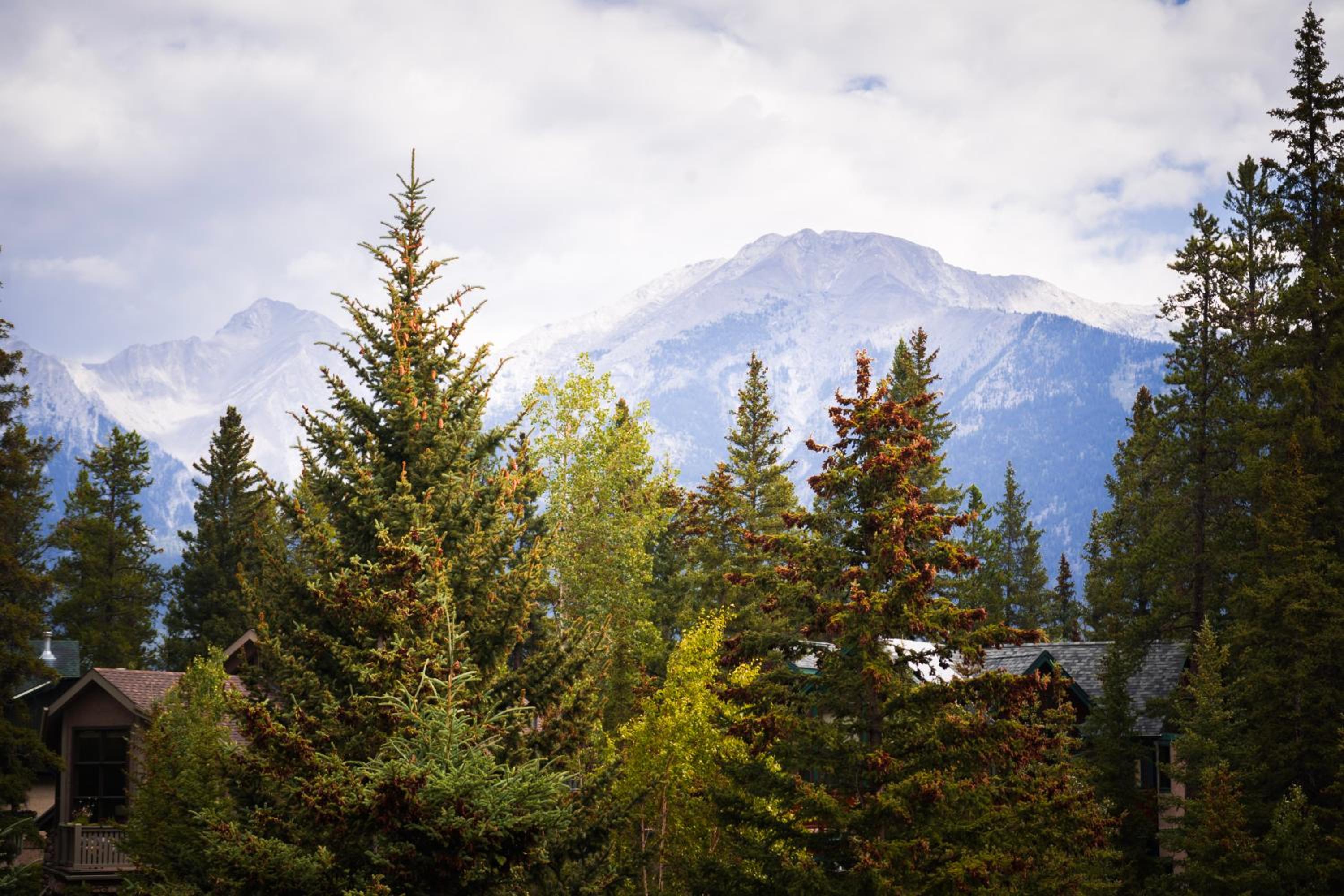 Romantic Luxury Retreat with Private Sauna & Spa, Pet Friendly, Elkside Hideout B&B