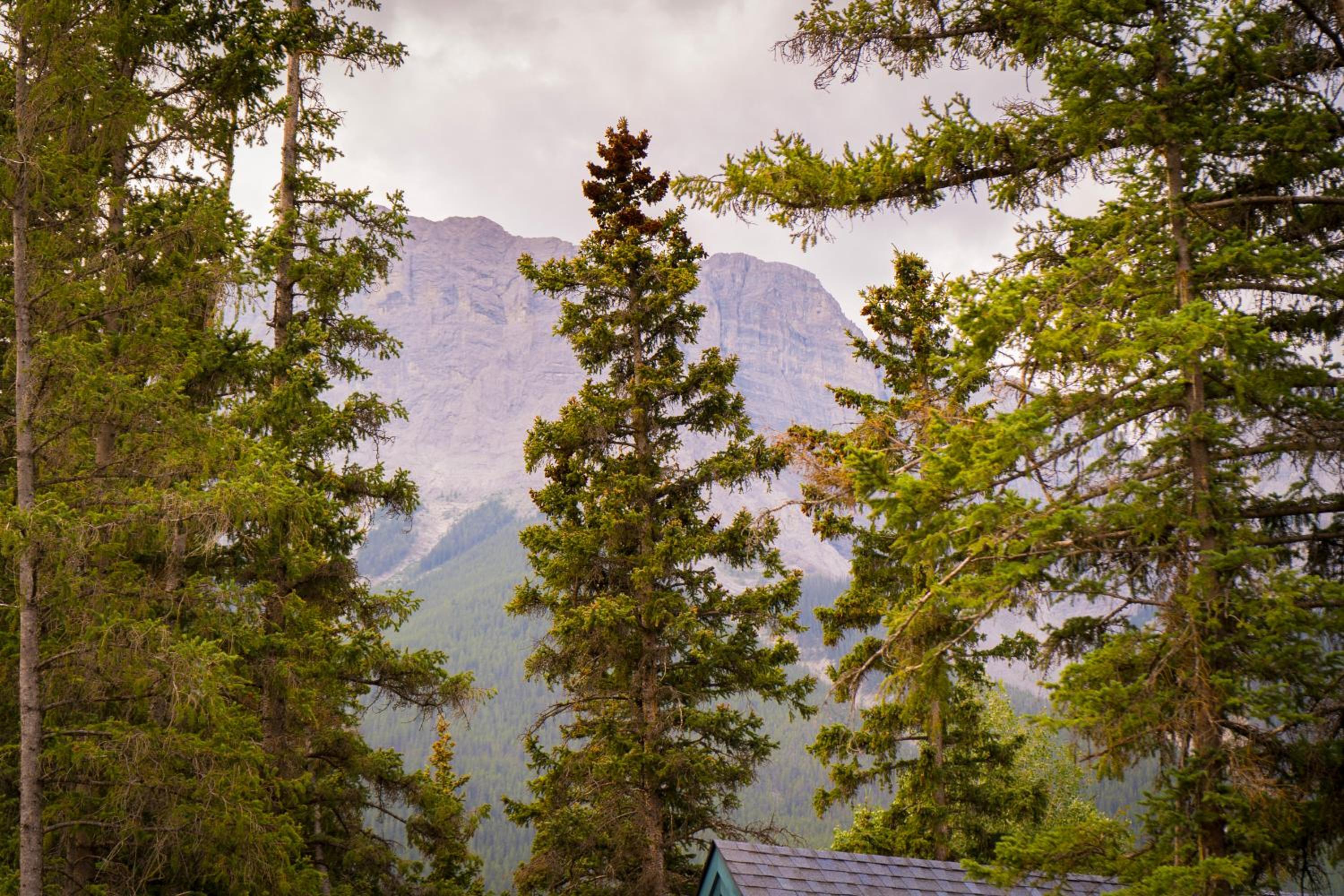 Romantic Luxury Retreat with Private Sauna & Spa, Pet Friendly, Elkside Hideout B&B