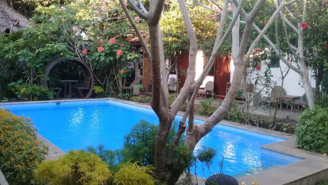 Yoga Lover view 5