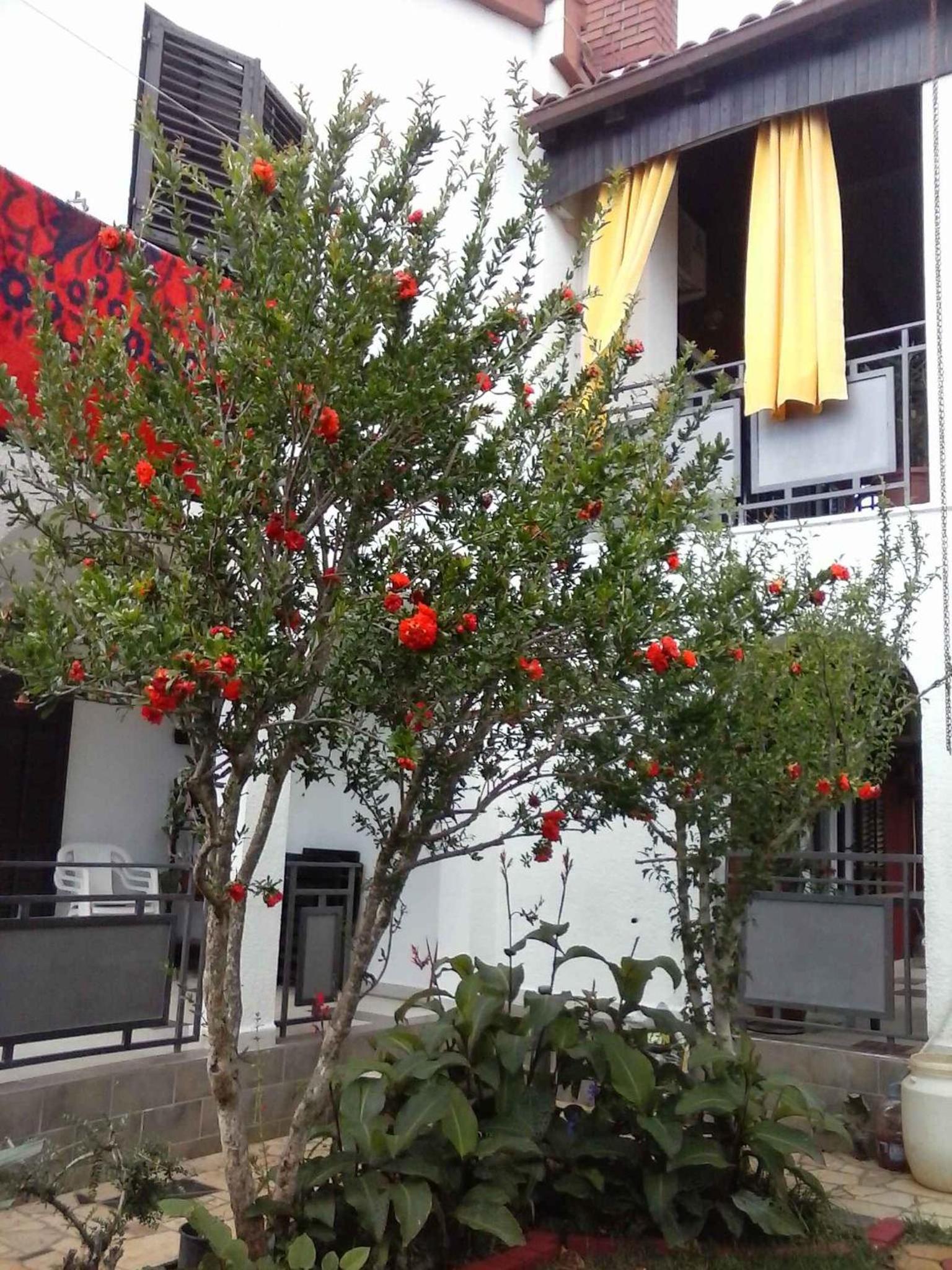 Studio in Valbandon Istrien 8360 view 4