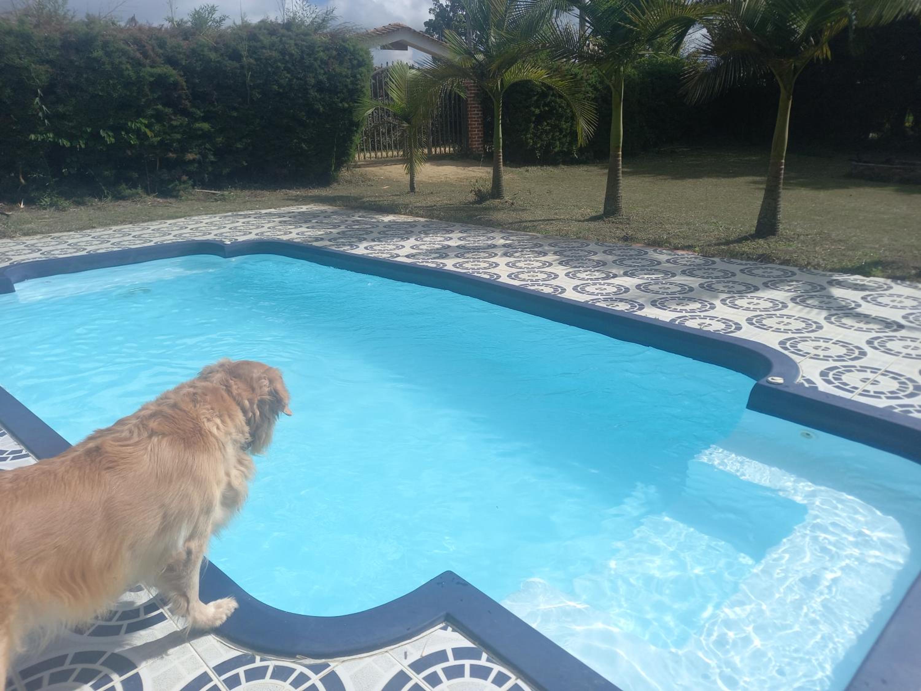CASA TORO, mesa de los santos