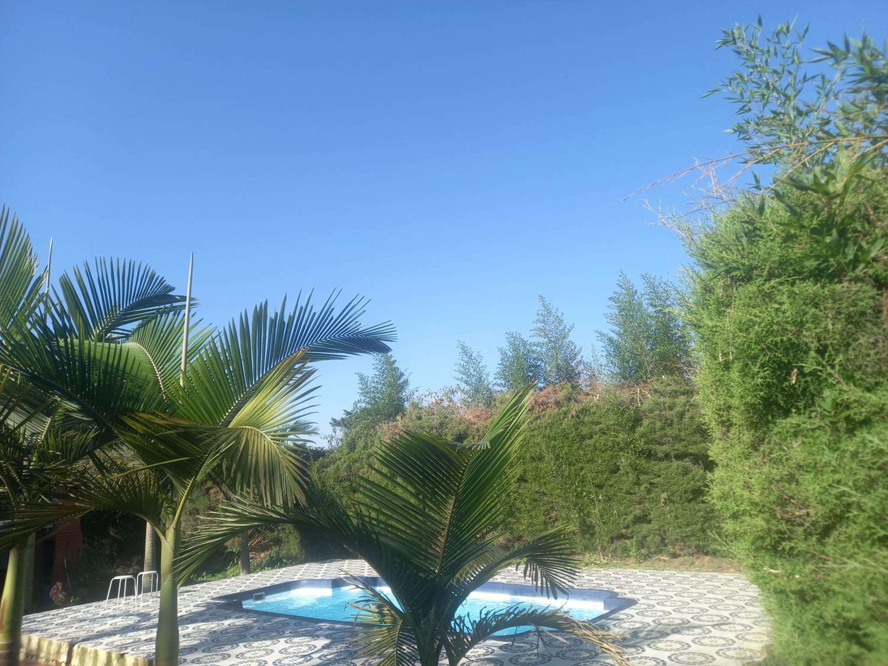 CASA TORO, mesa de los santos