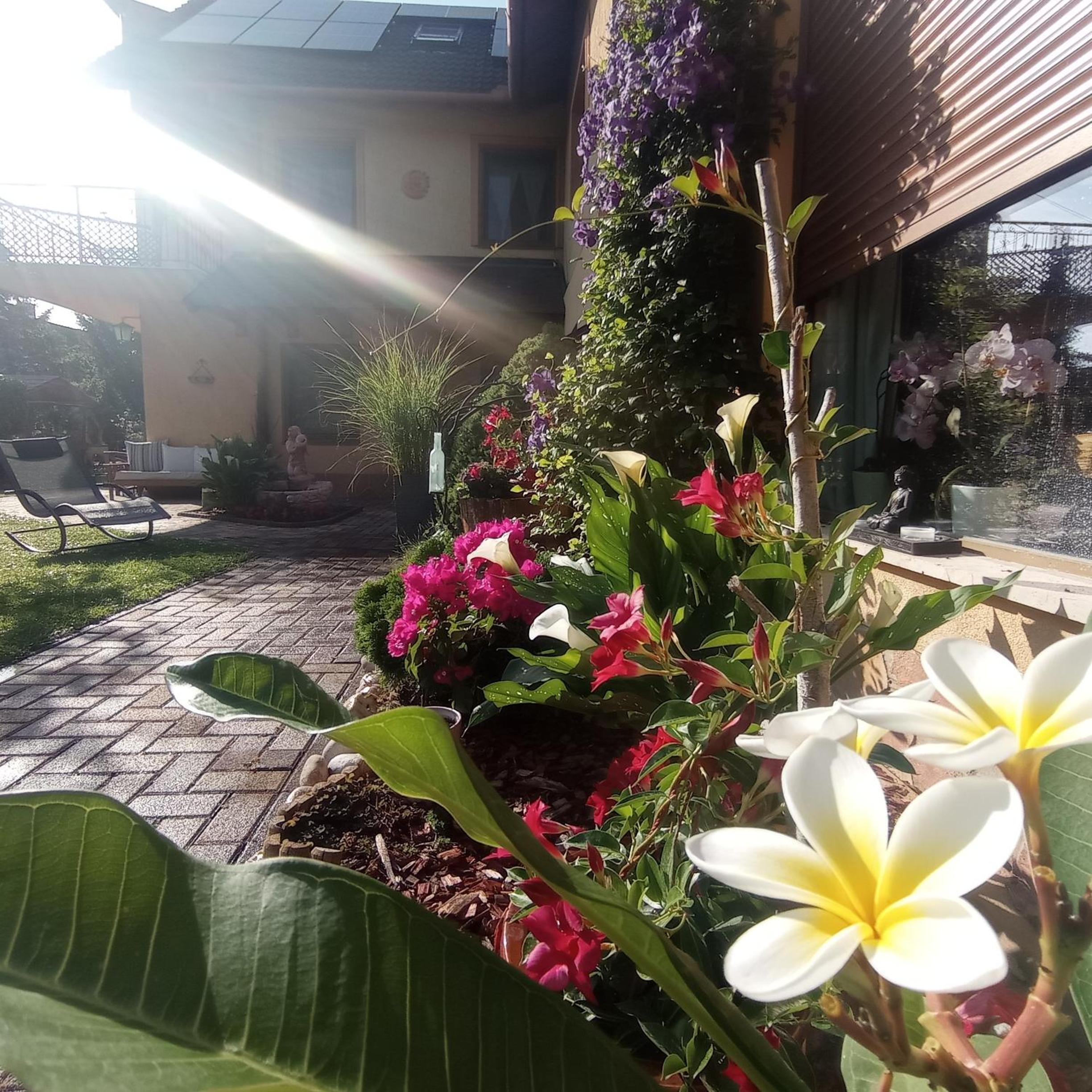 Rózsa Apartman