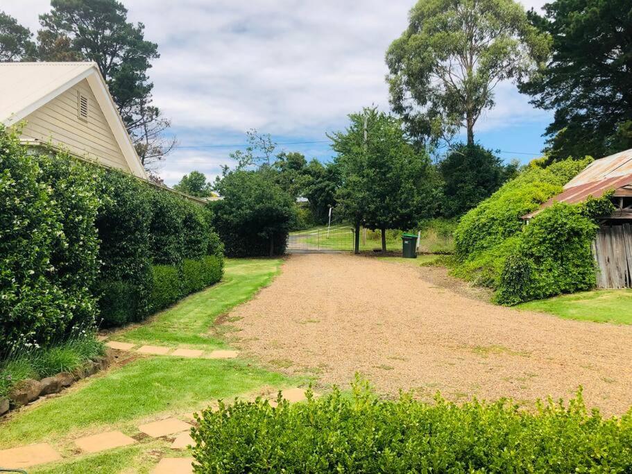 Lenore at Armidale