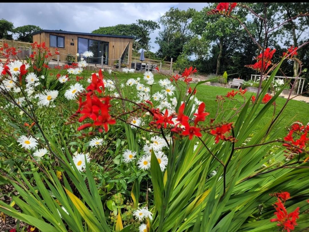 Brondini View Cabin (Private Garden and Hot Tub) view 3