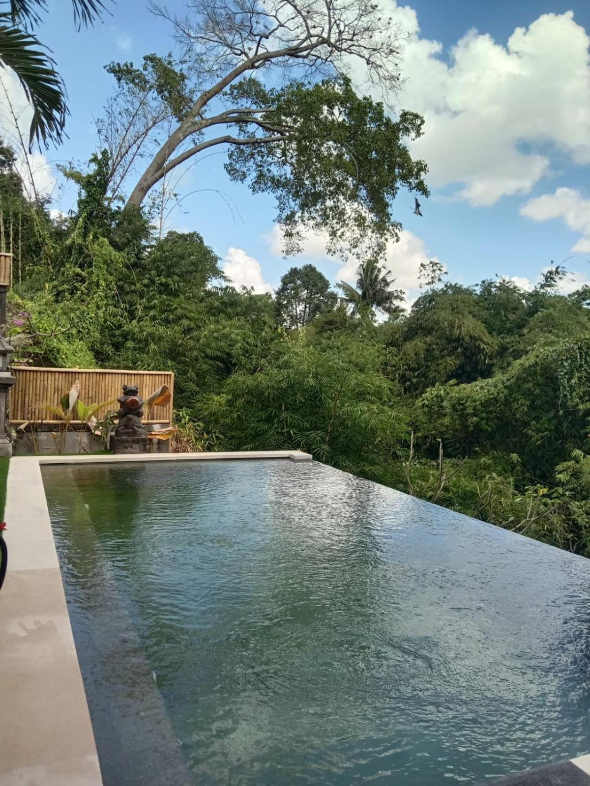 Ketut Kasta Guest House view 2