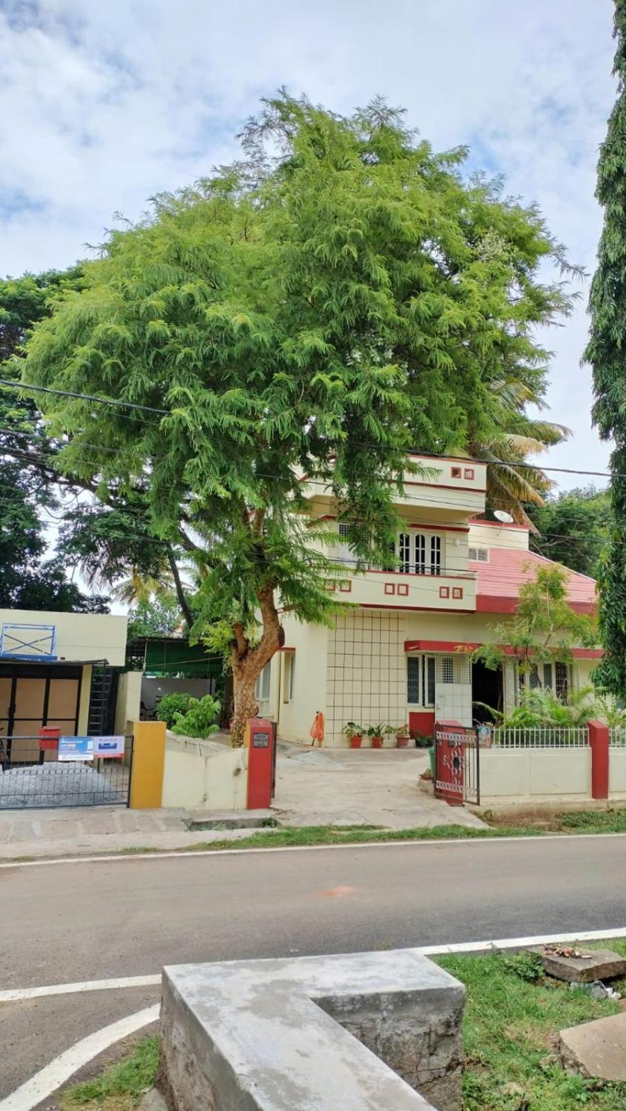 Raintree Garden