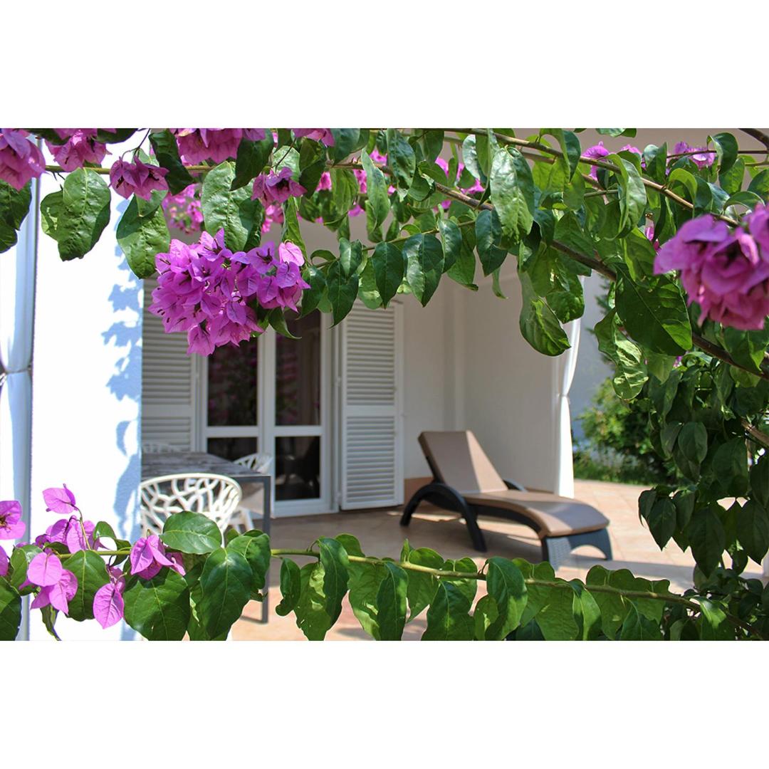 Garden apartments