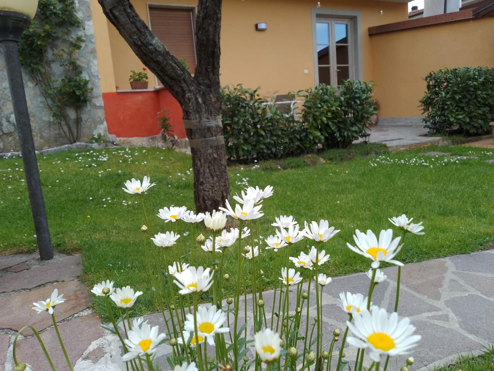 Le sette fontane en Barga