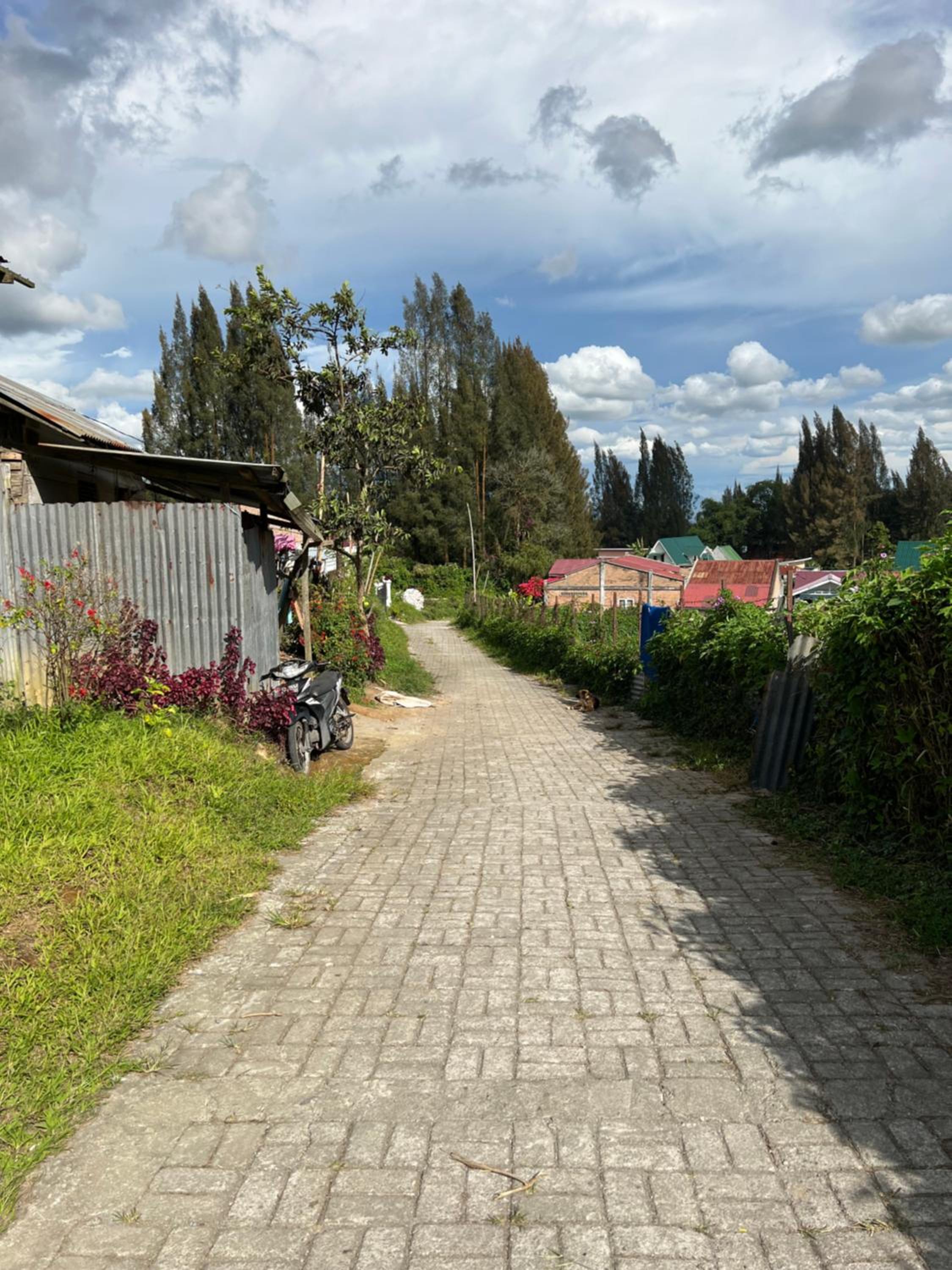Ulina Homestay VIP Berastagi view 4
