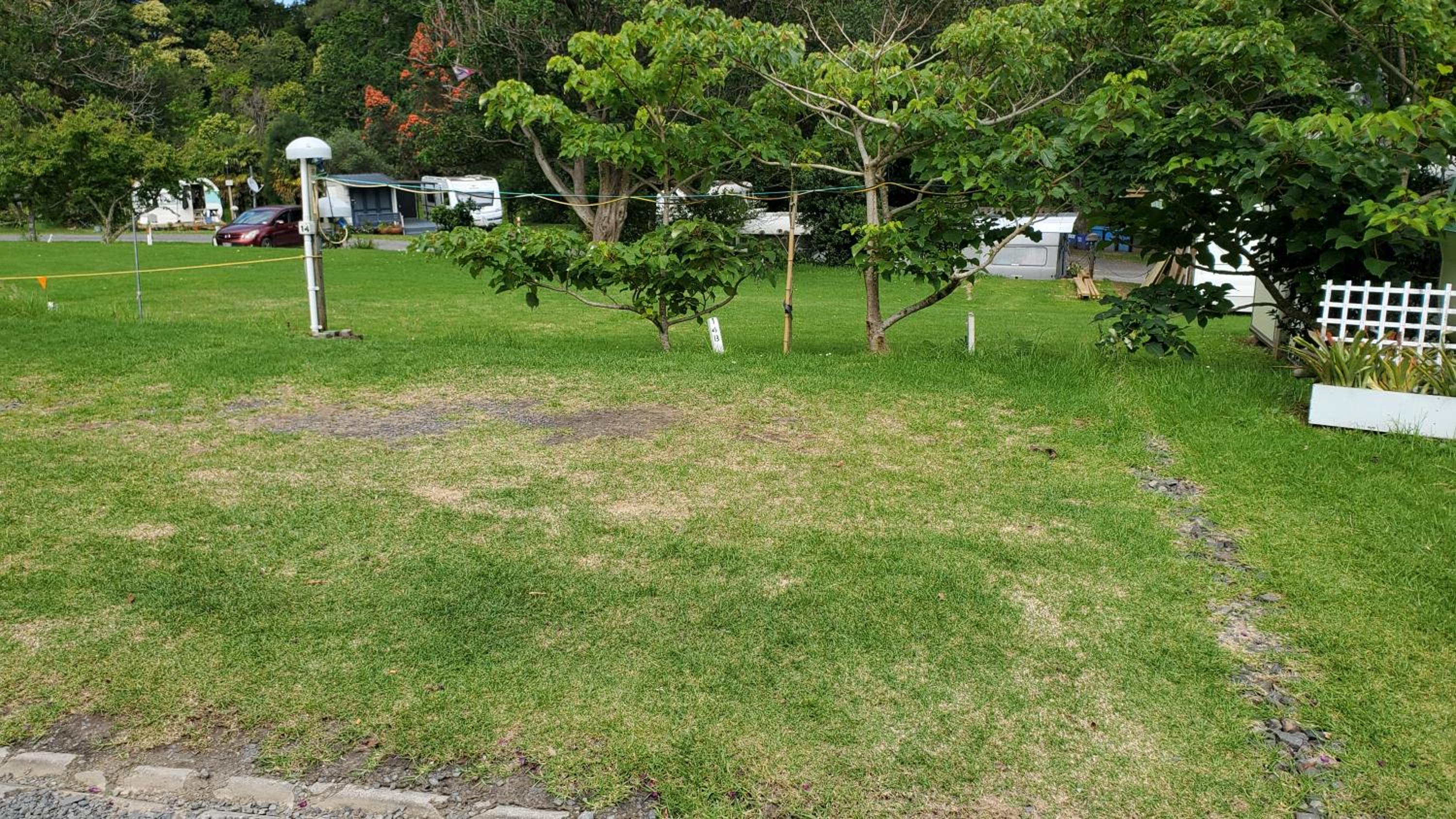 Photo 30