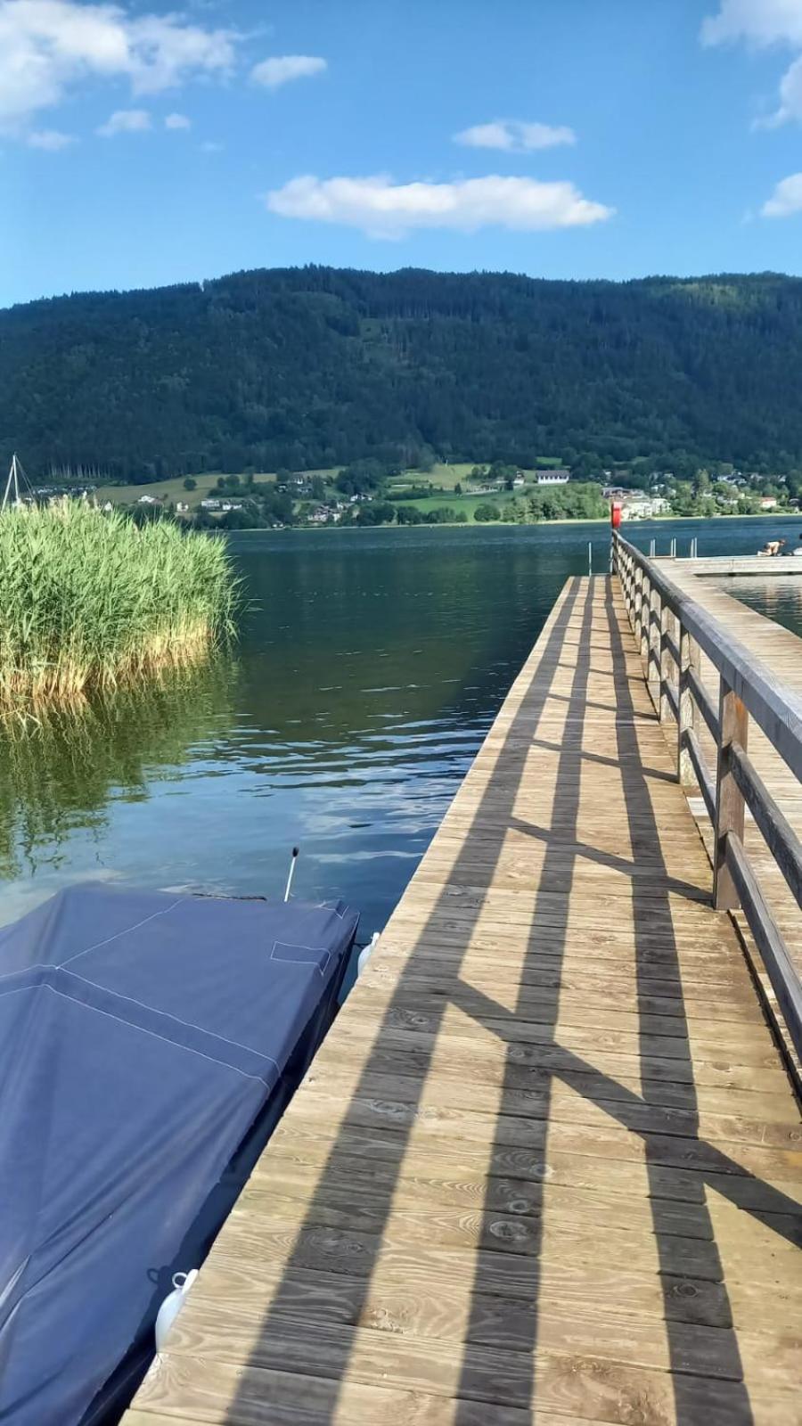 FEWO Schützenhofer