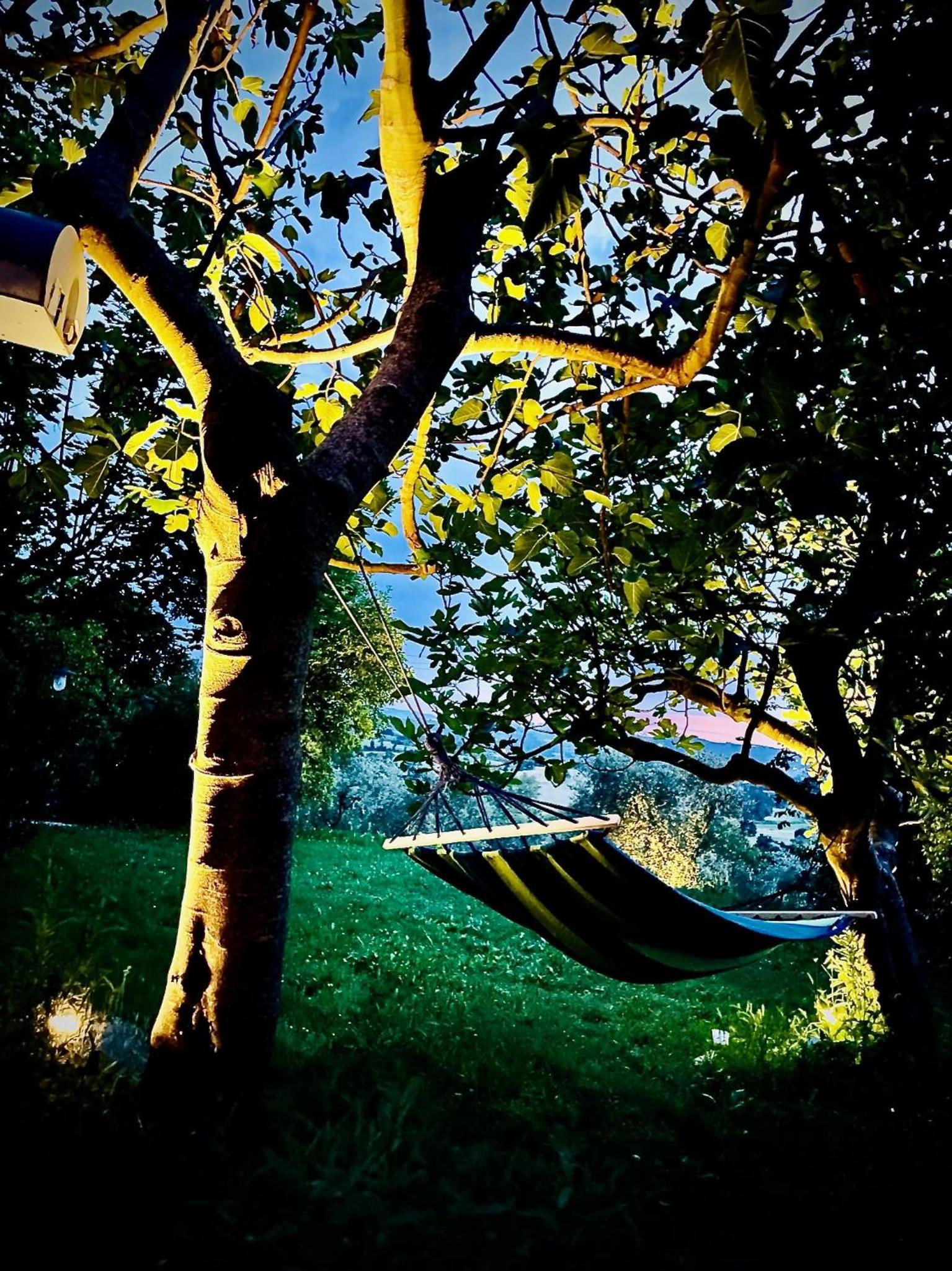 Agriturismo CasaViVa