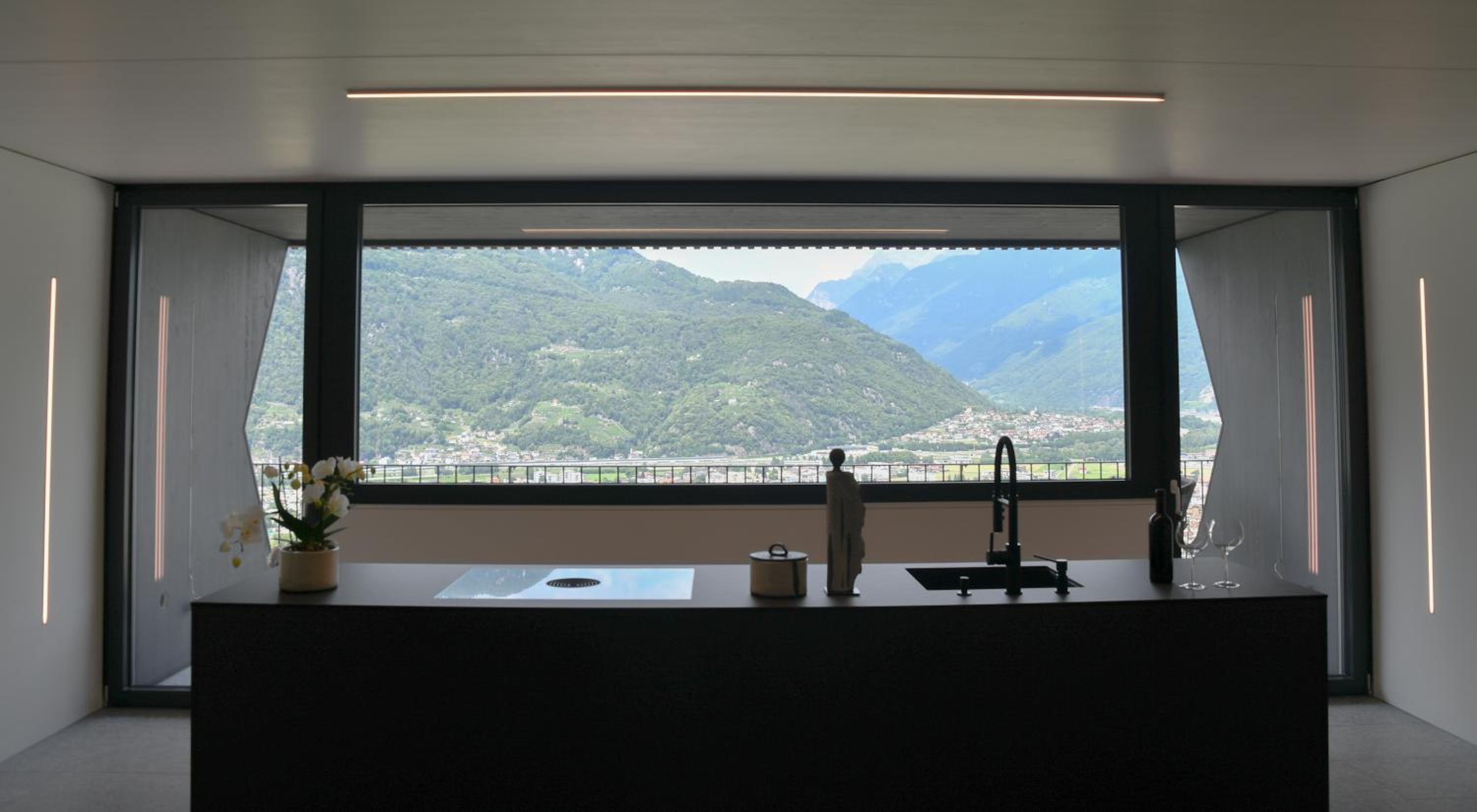 The Window