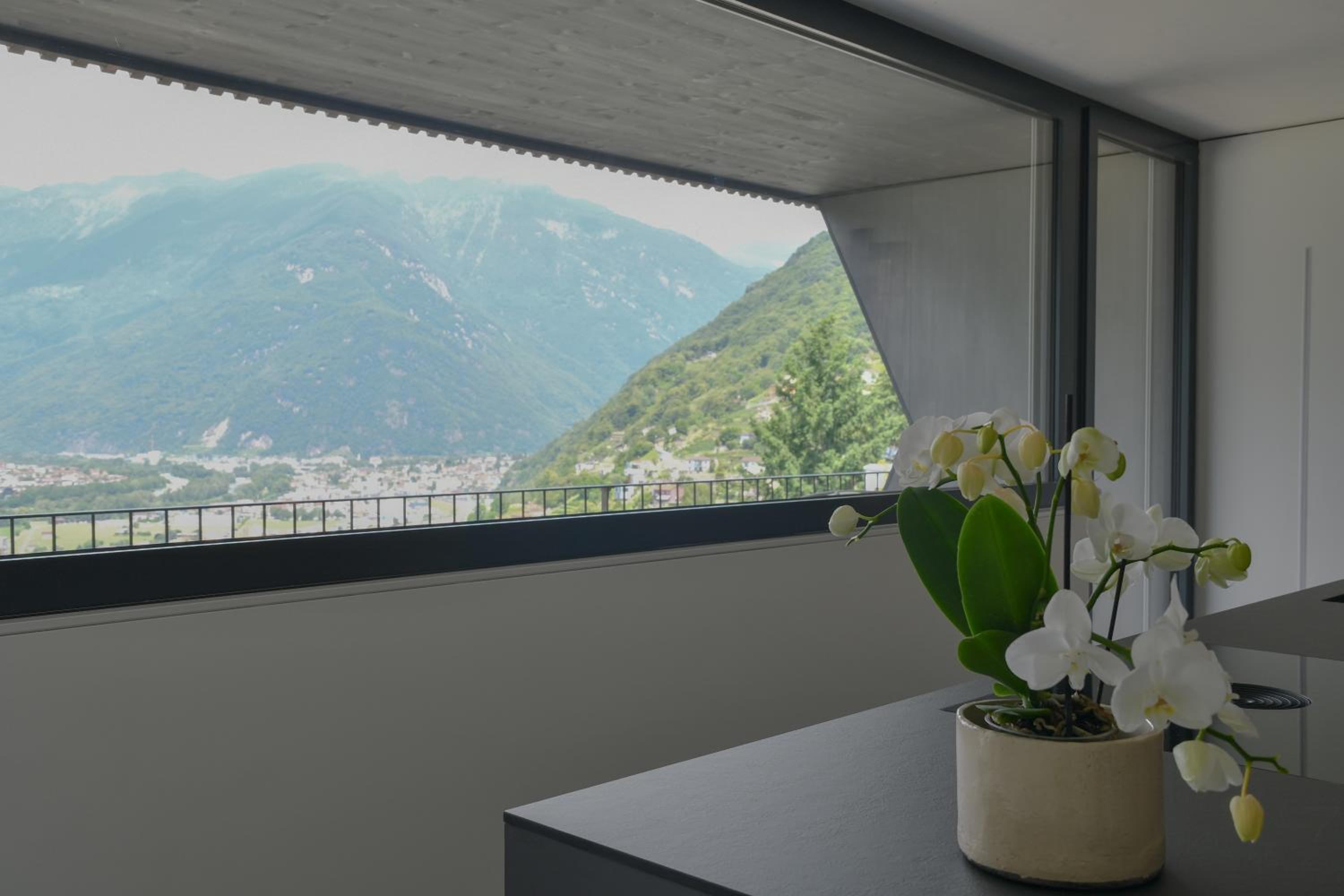 The Window