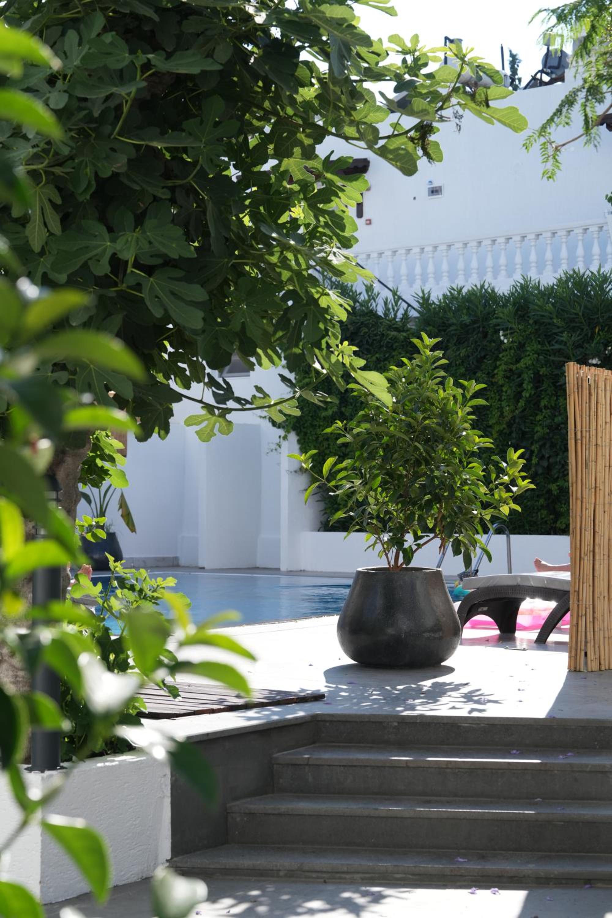 Manuela Boutique Hotel Bitez