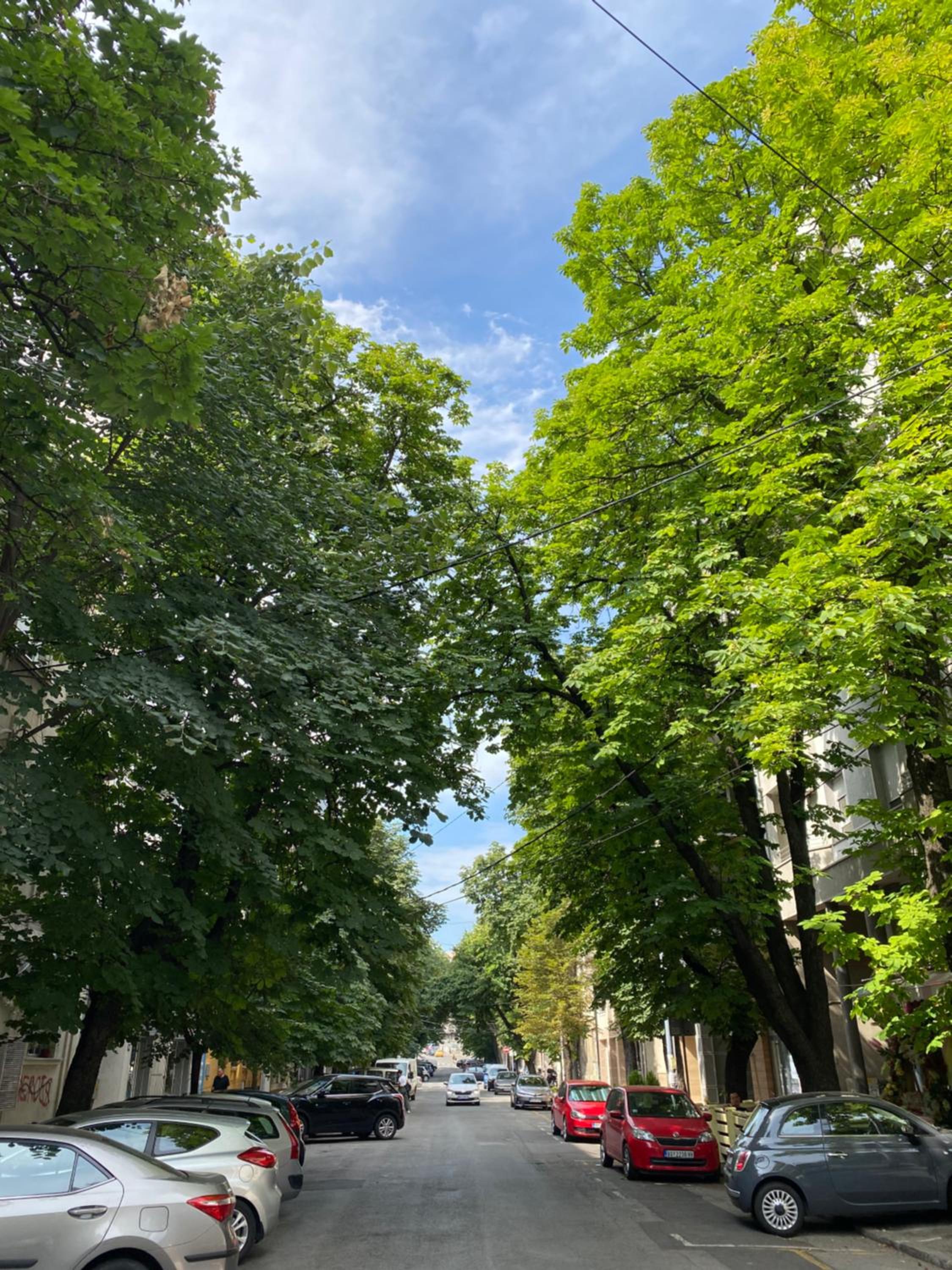 parking