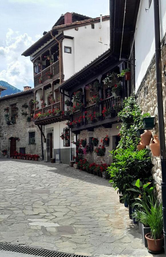 Apartamento Corazón de Liébana