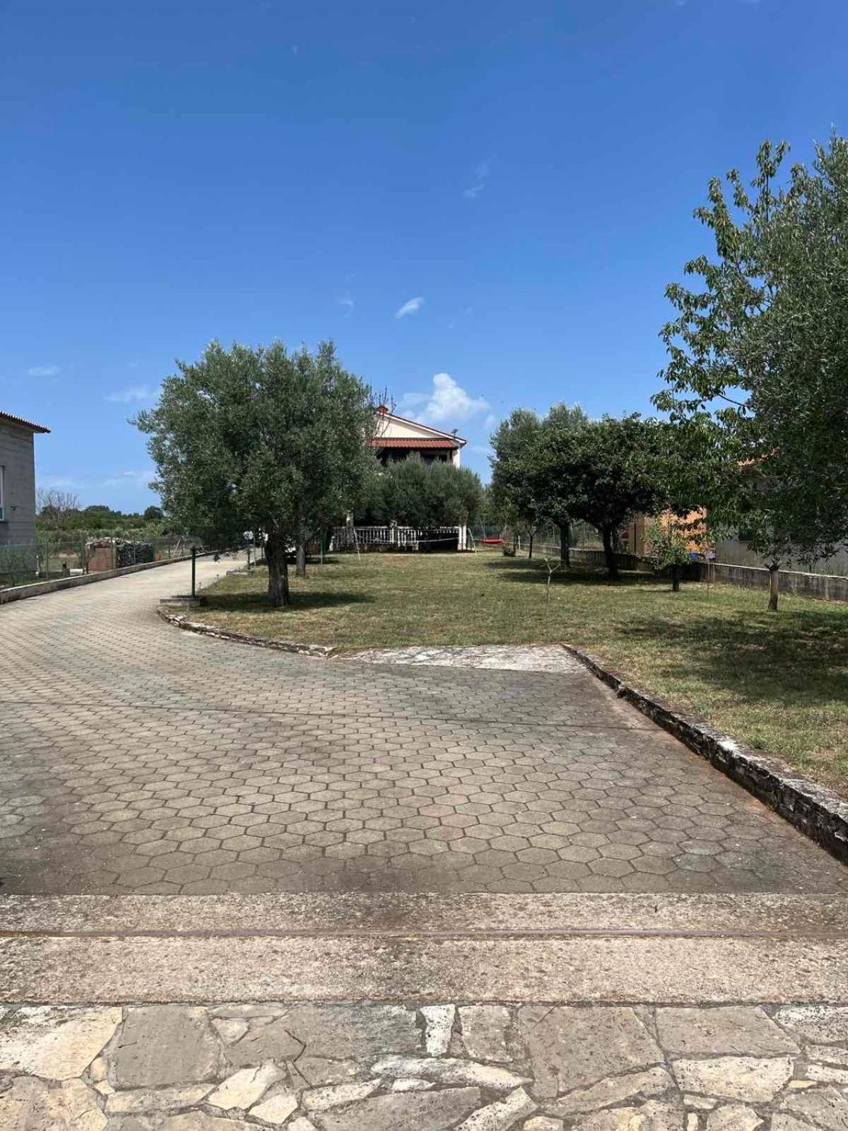 Monteci Apartment