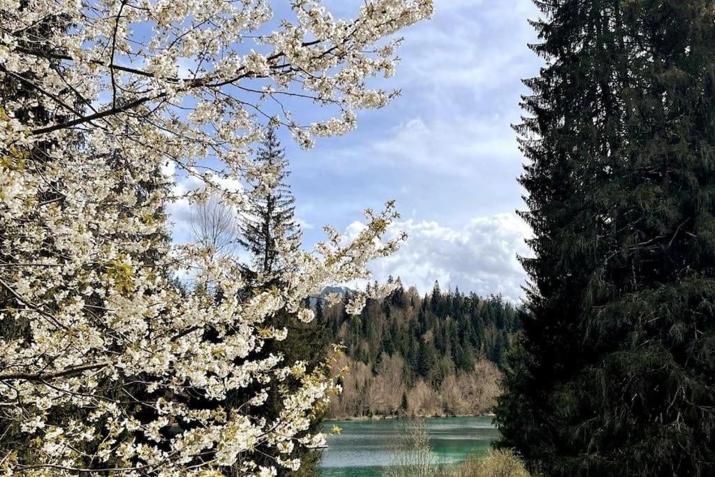 Wohnung mit fantastischer Aussicht
