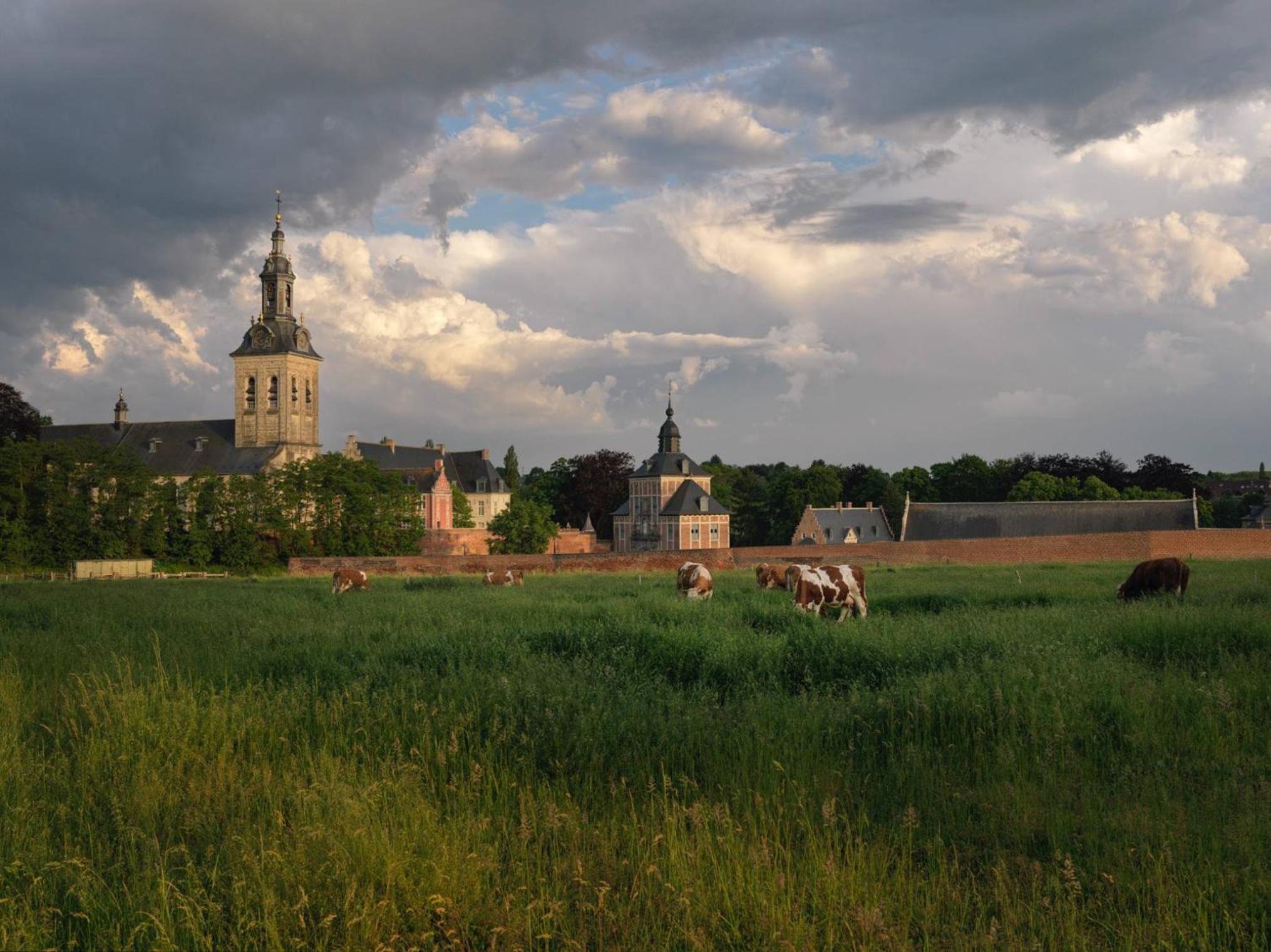 Feel at home in Leuven