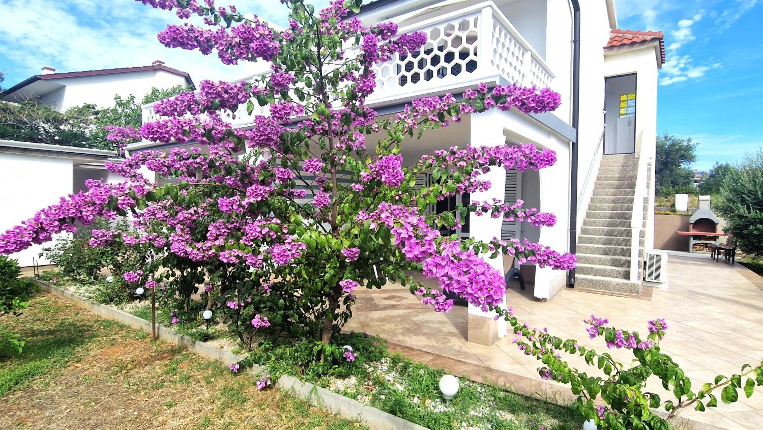 Garden apartments