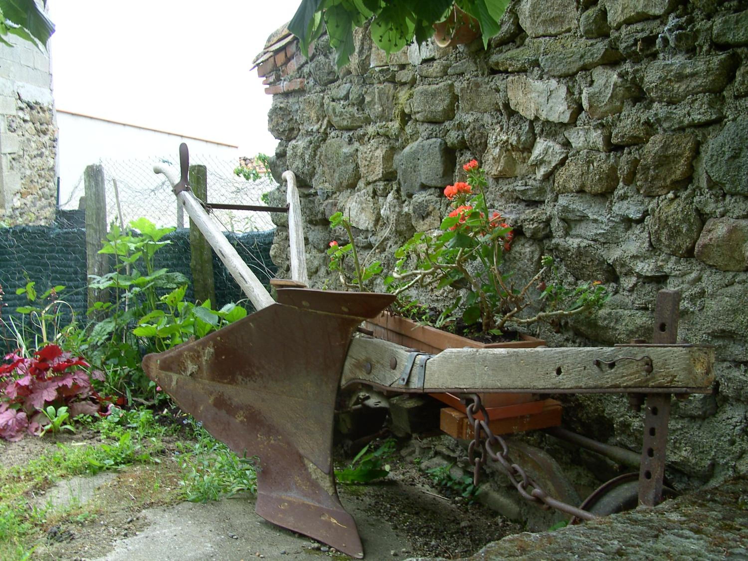 Photo 14