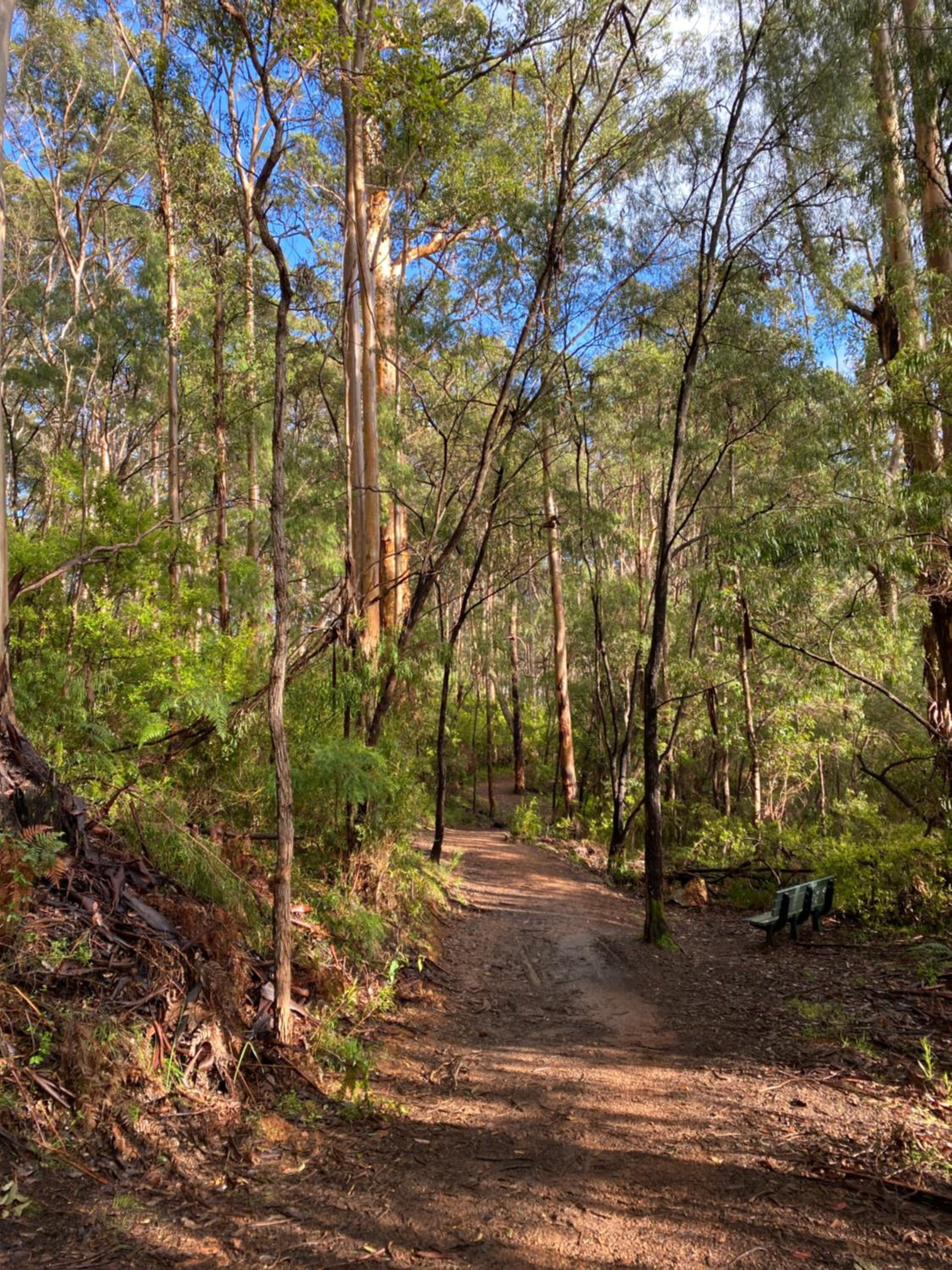 Karri Tree Studio Apartment