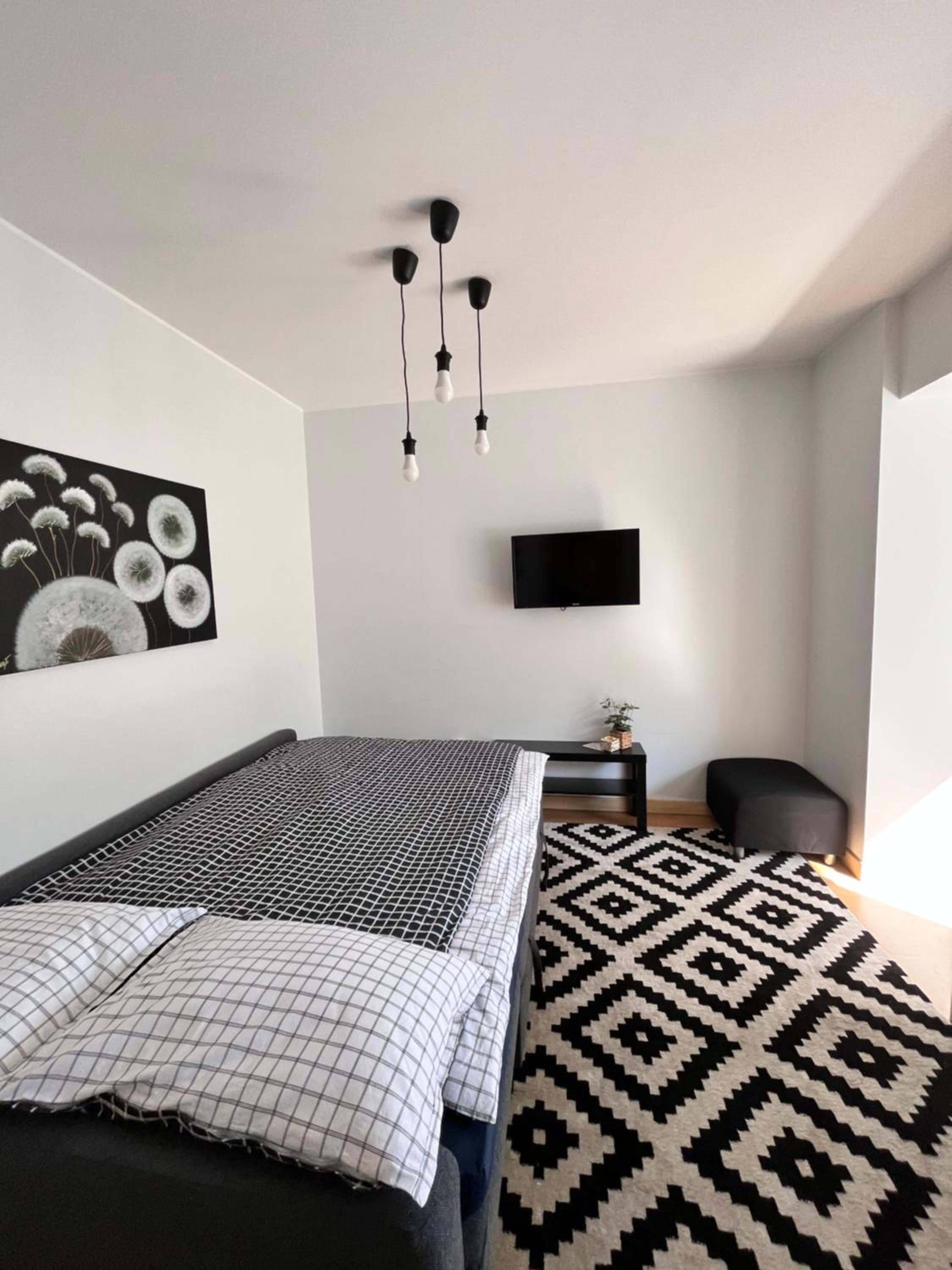 Stilingi šaulio skulptūros apartamentai view 5