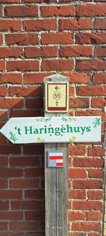 't Haringehuys
