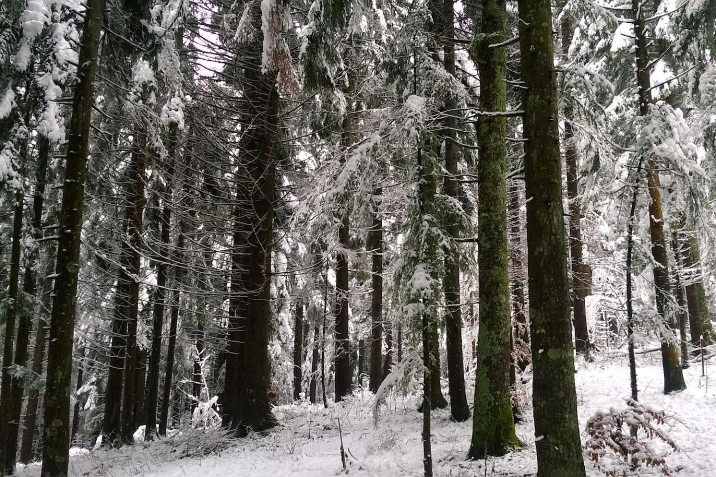 Apartman Srna - Gorski kotar view 5