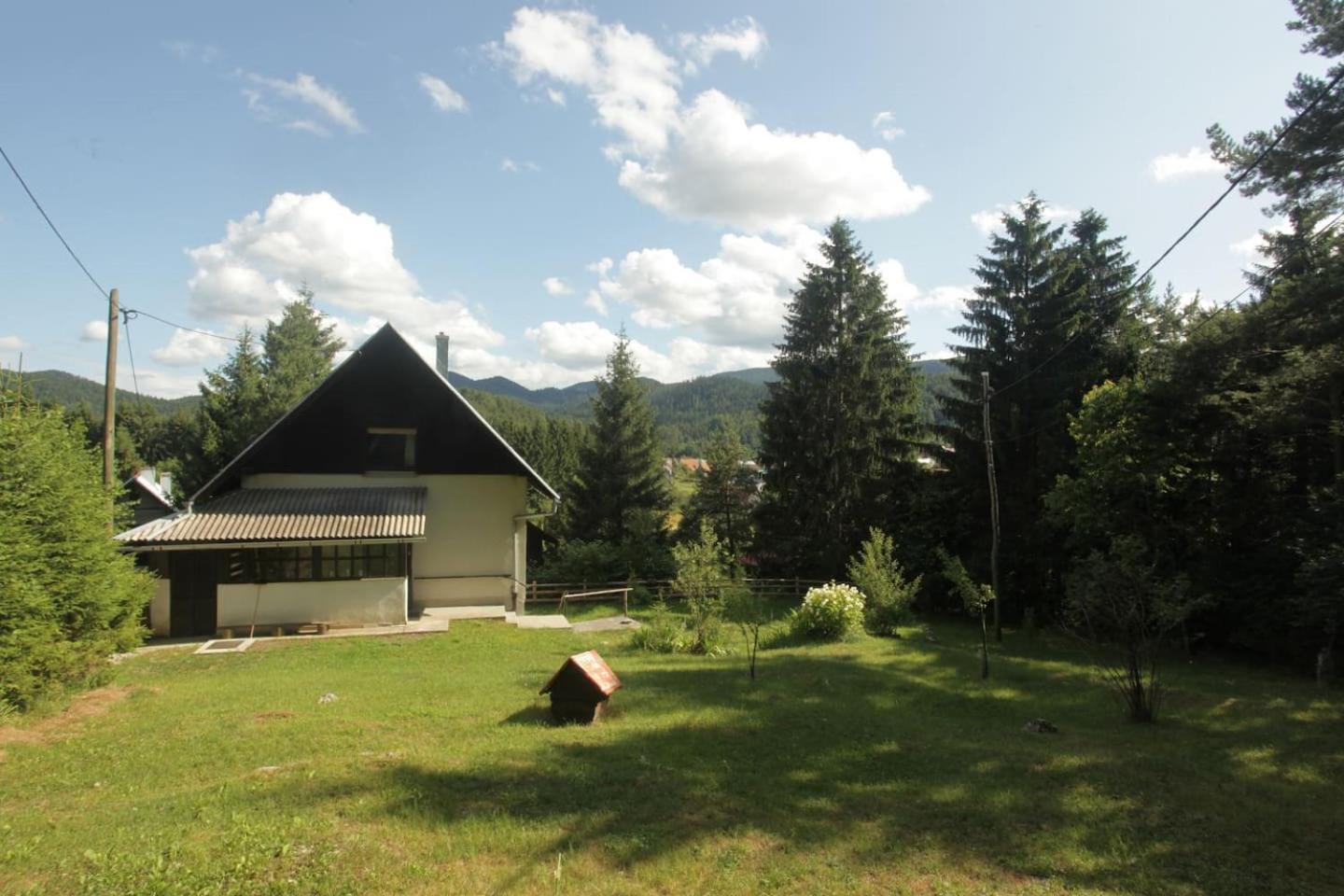 Photo 8