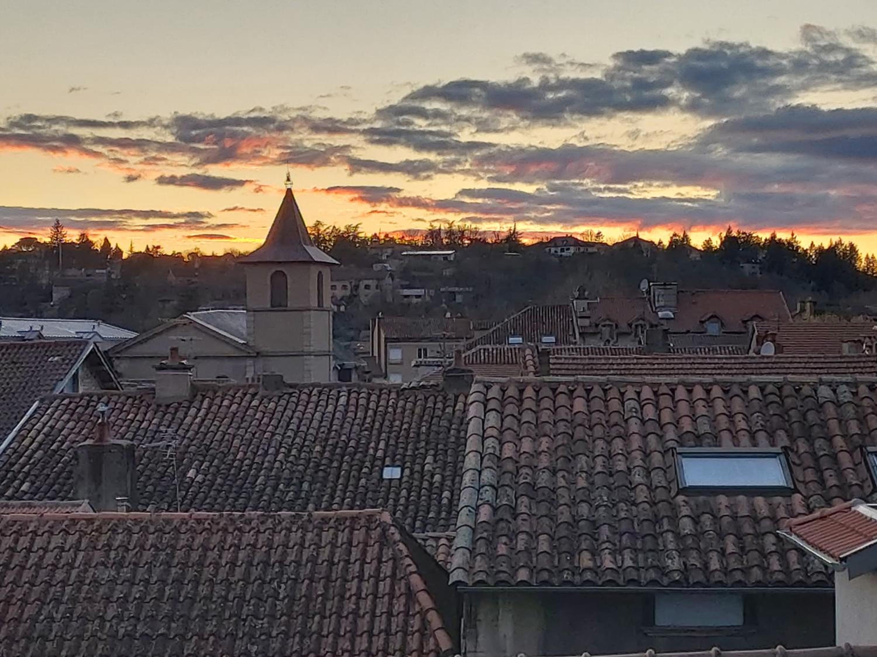 Le Saint-Georges view 4