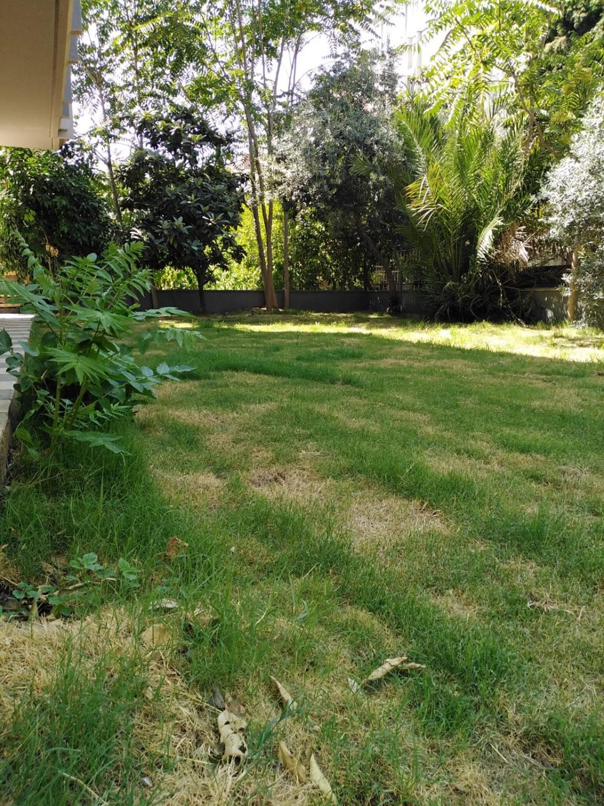 Merkezi ve lokasyon mükemmel konforlu