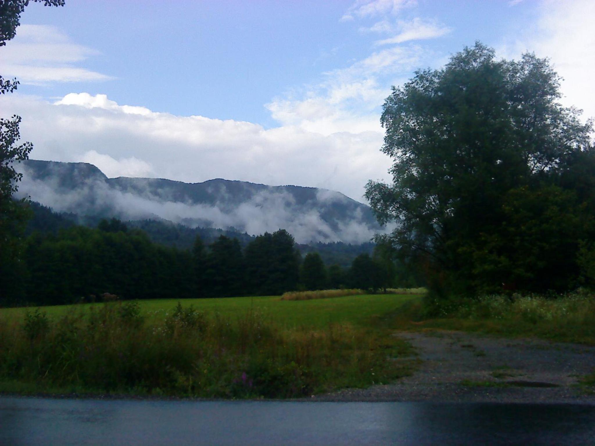 Photo 26